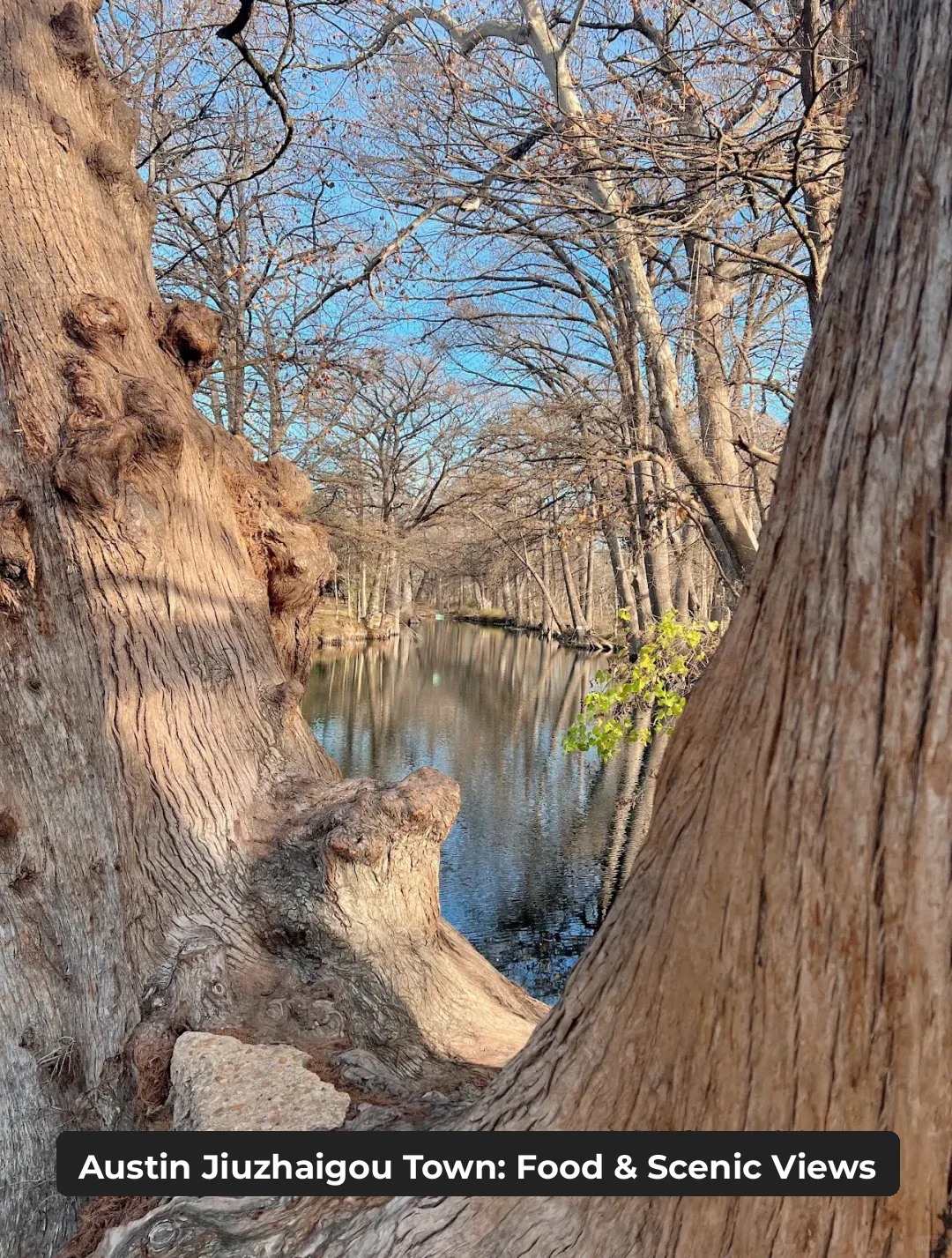 If You Have a New Spring Getaway Plan for Austin, Texas