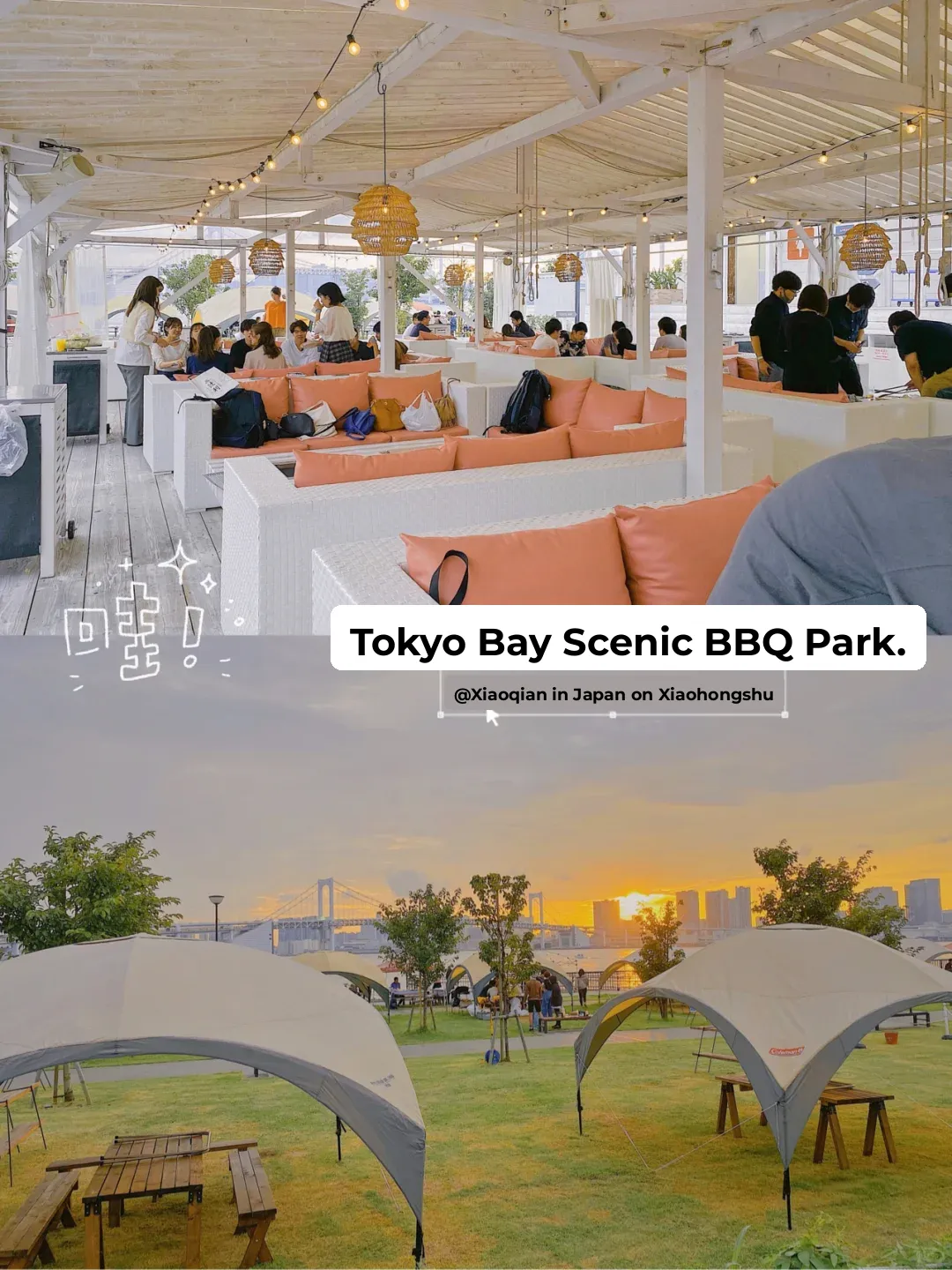 Tokyo Food Hunt | Stunning Scenery, Ultra-Chill BBQ Park