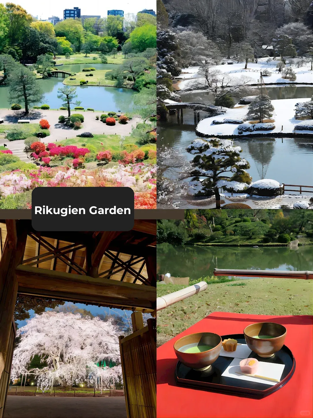 Where Do Tokyo's Elders Hang Out? A Guide to Offbeat Sightseeing