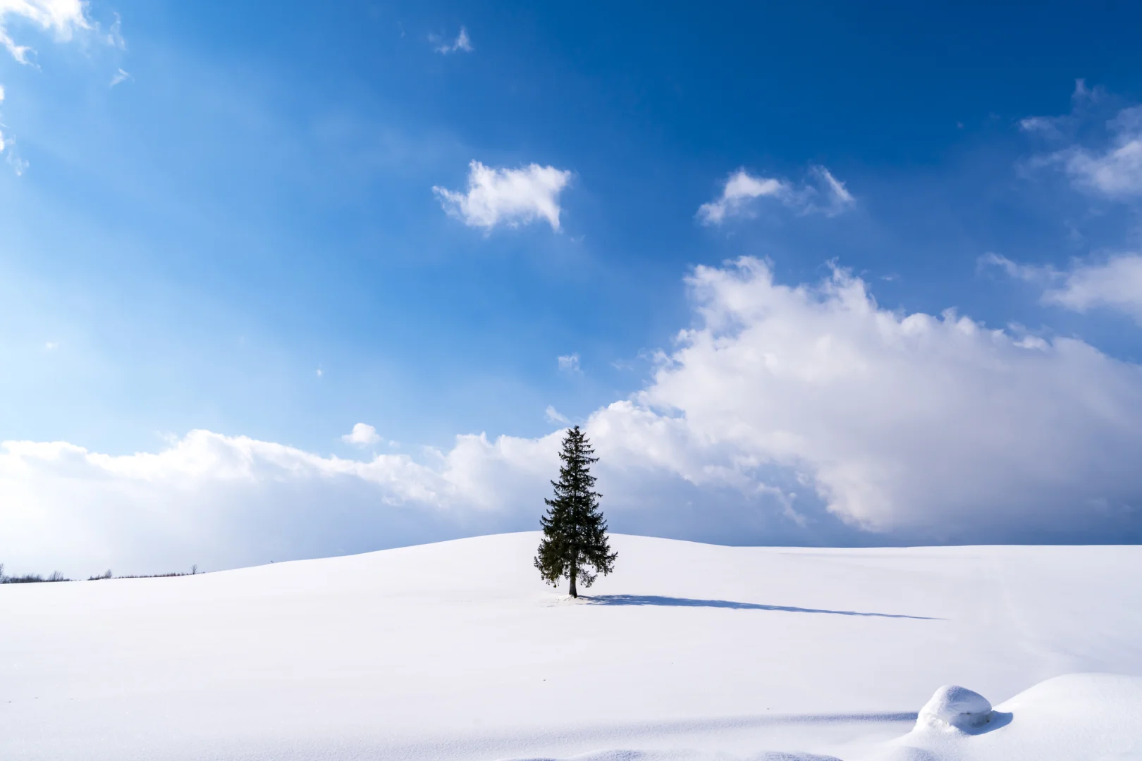 Where to Go in Japan Each Month?