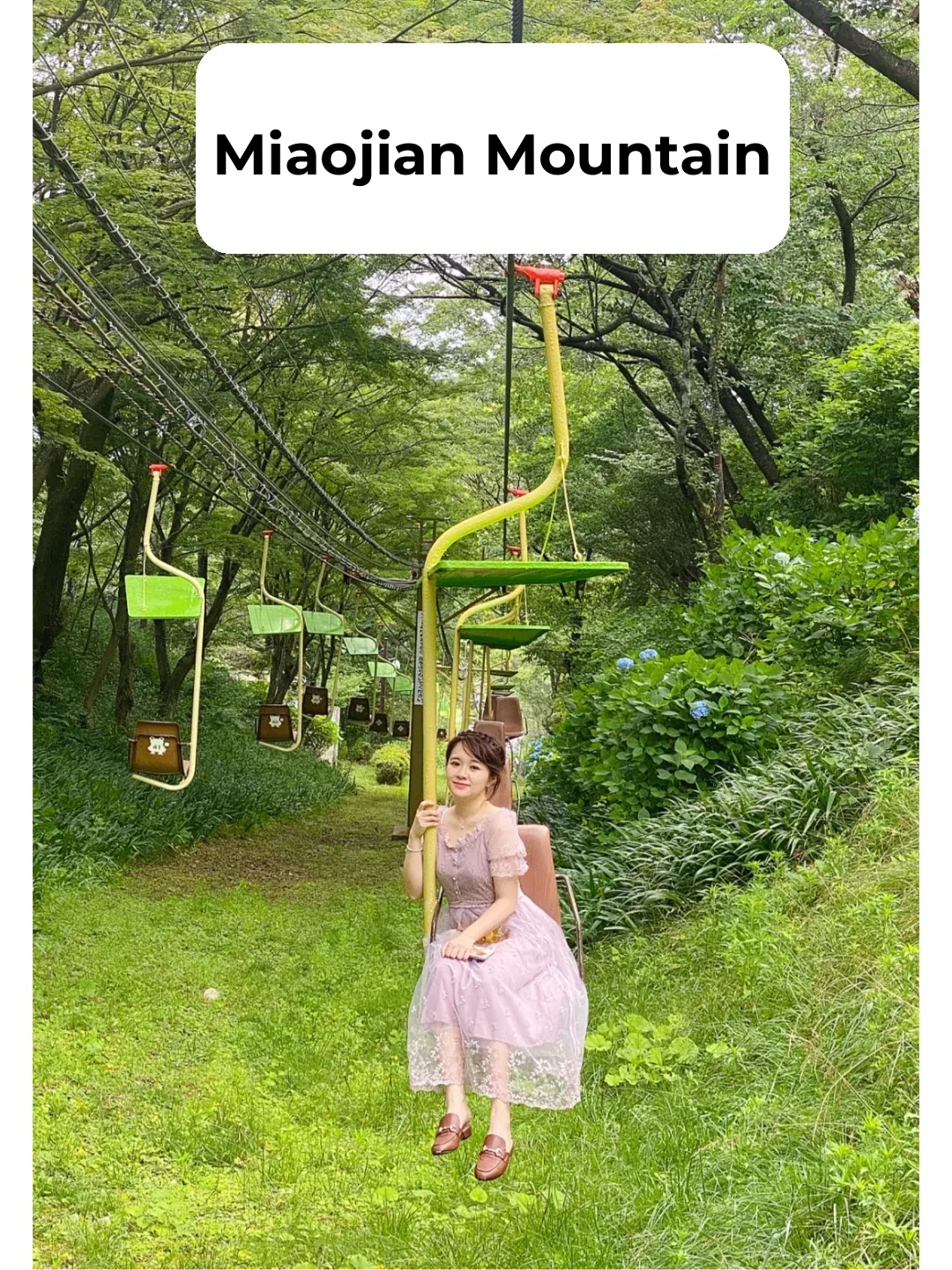 Weekend Getaway in Kansai: Myokensan | Feels Like Wandering Through a Forest