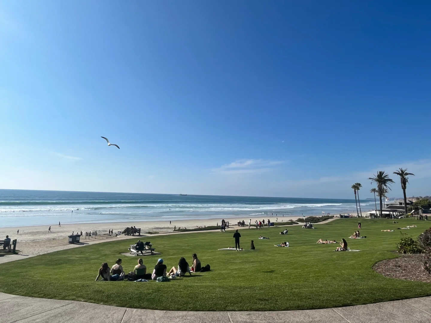 East Coast International Students' Spring Break Trip to San Diego