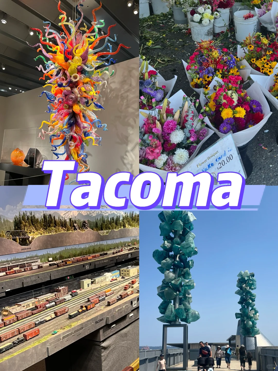 Tacome Summer Day Trip