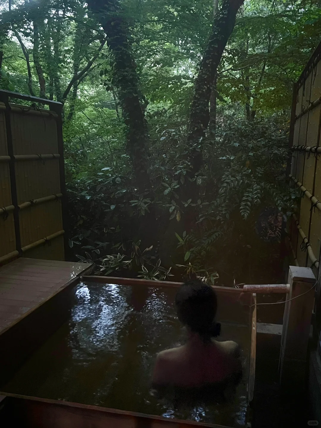 Comfortable Hotels and Guesthouses to Stay in Japan