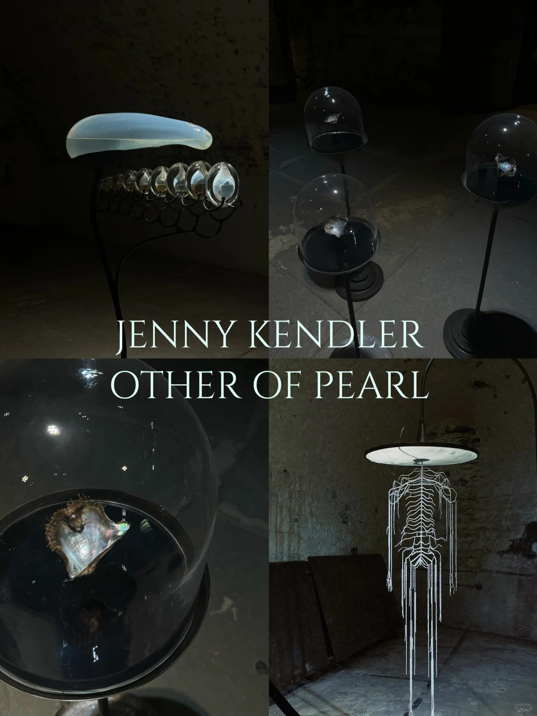 NY Exhibition｜OTHER OF PEARL 🫧