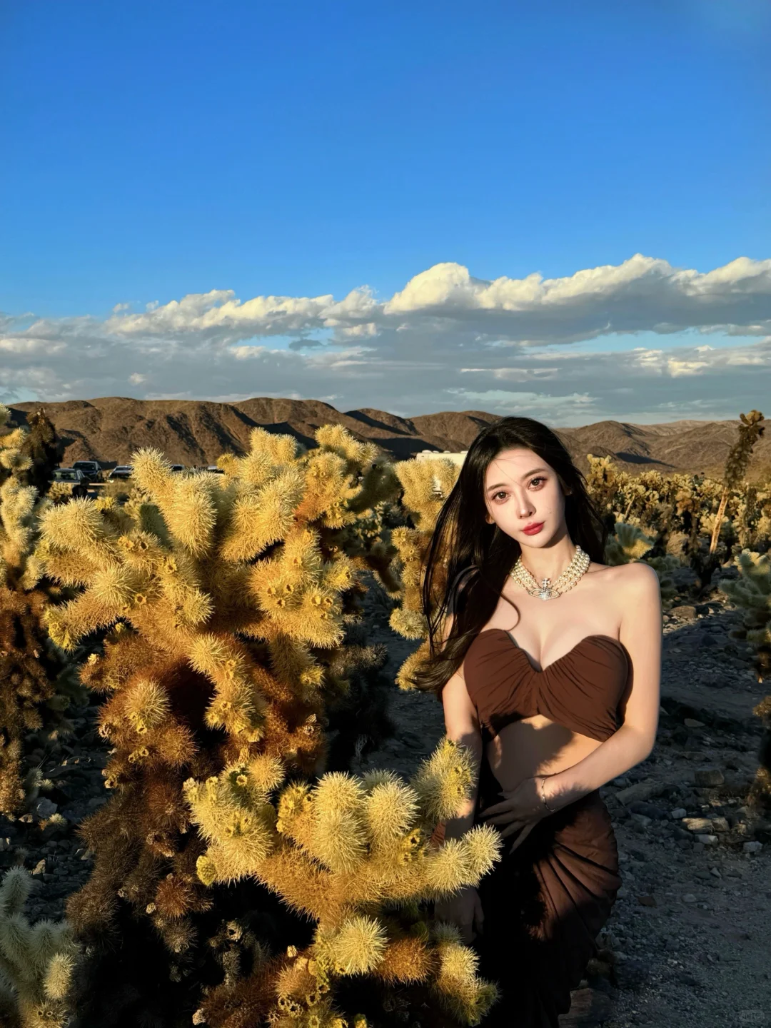 USA | Joshua Tree National Park 🌵