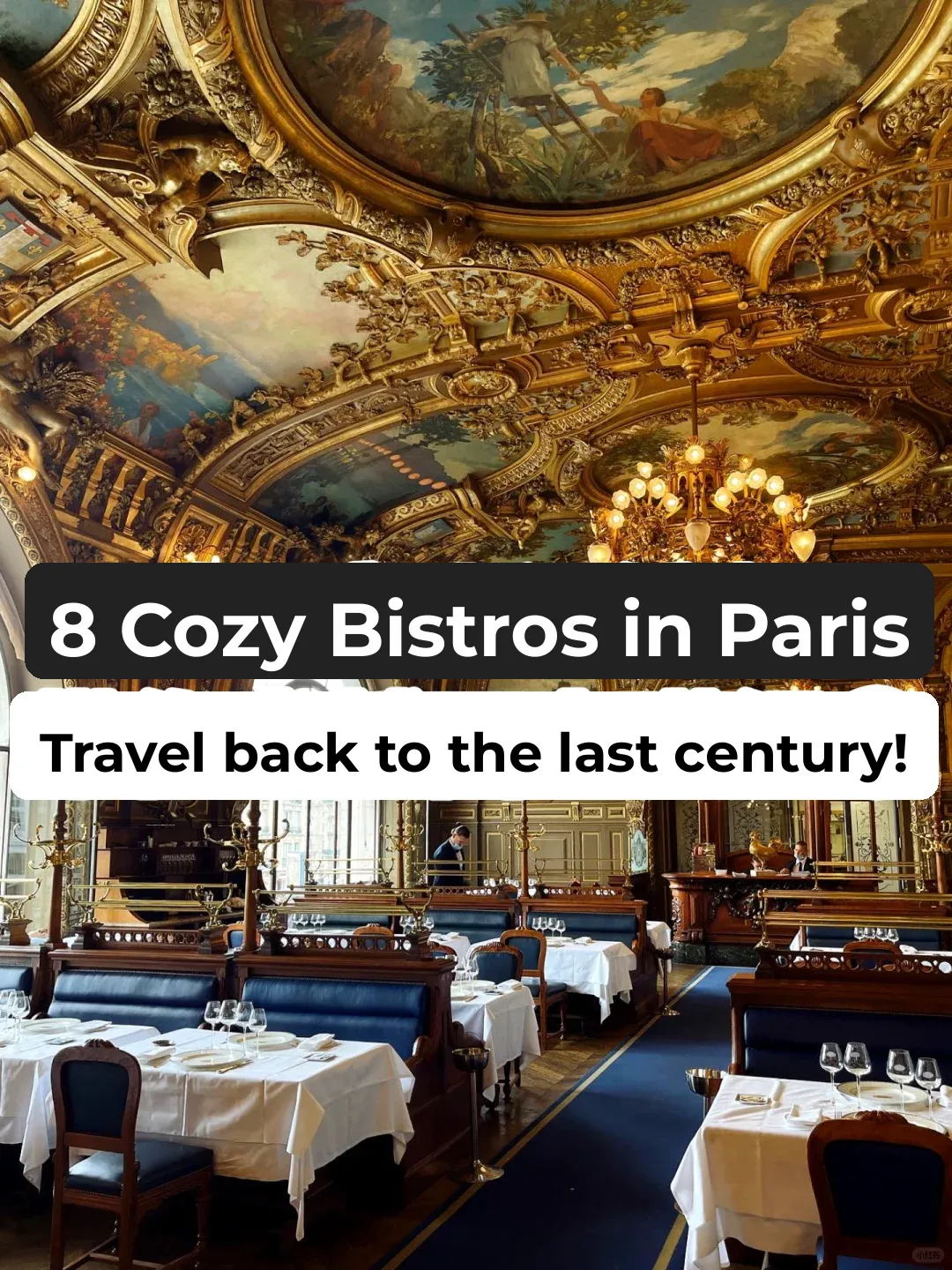 Paris Travel | Dine in a Centenary Restaurant and Savor the Delights 🍴