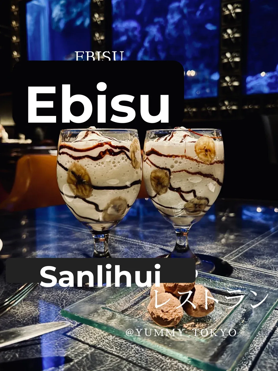 A Romantic Restaurant in Ebisu Where You Can Spot Sea Turtles 🐢🌊