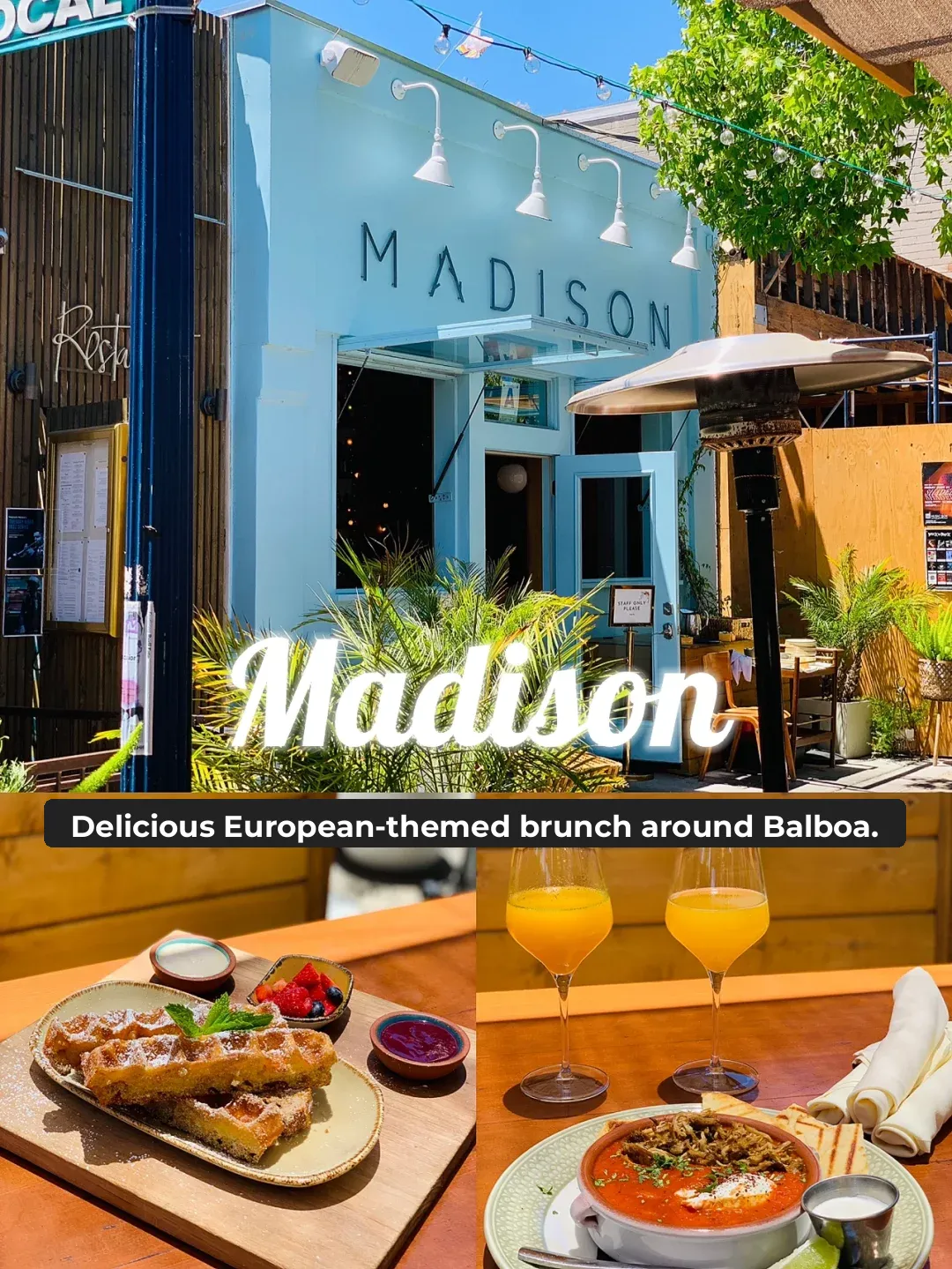 SD Food Adventure | Must-Try European Brunch Spots Near Balboa 🥐