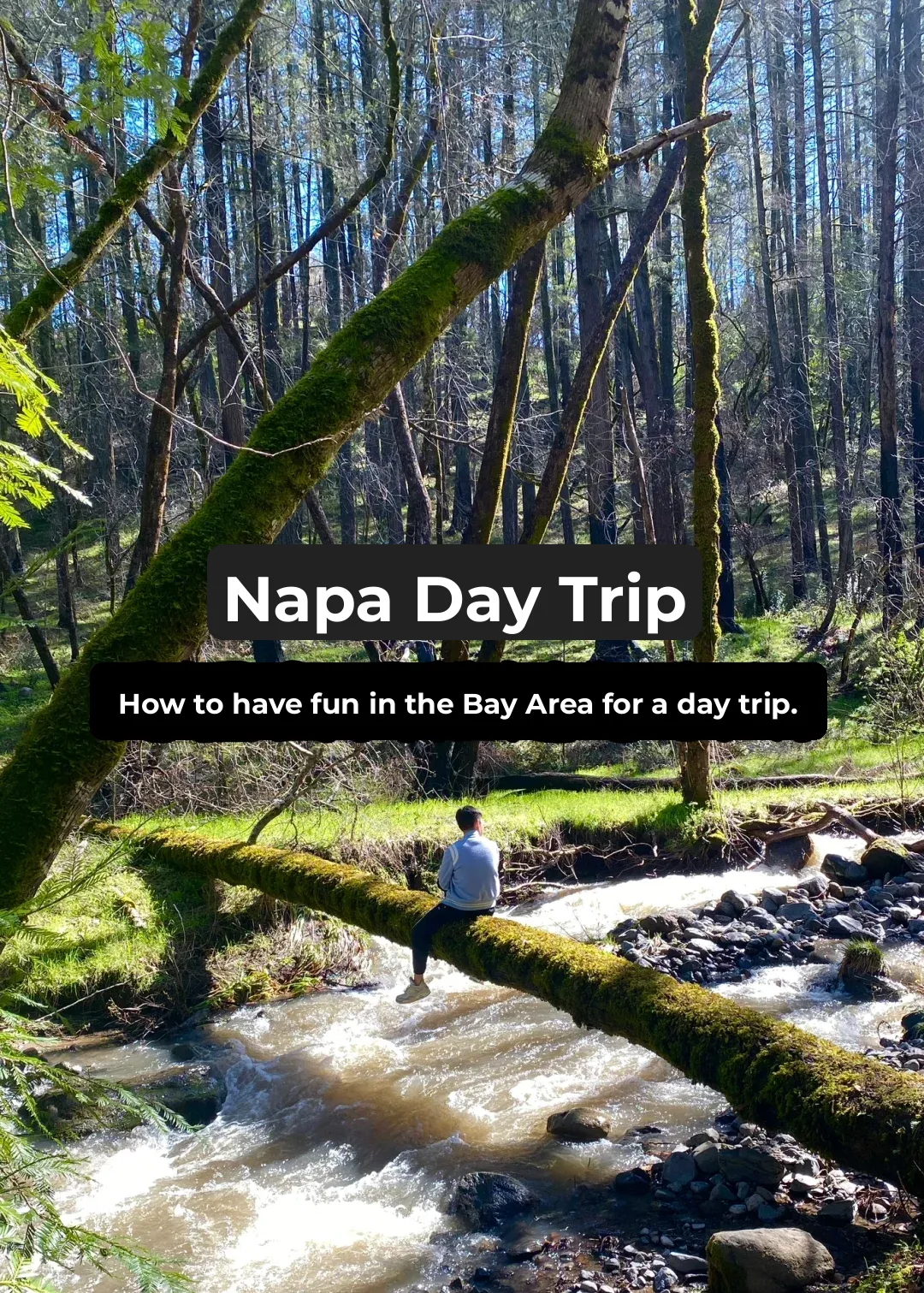 Napa | A Day Trip to Napa: How to Make the Most of a Same-Day Round Trip from the Bay Area❔