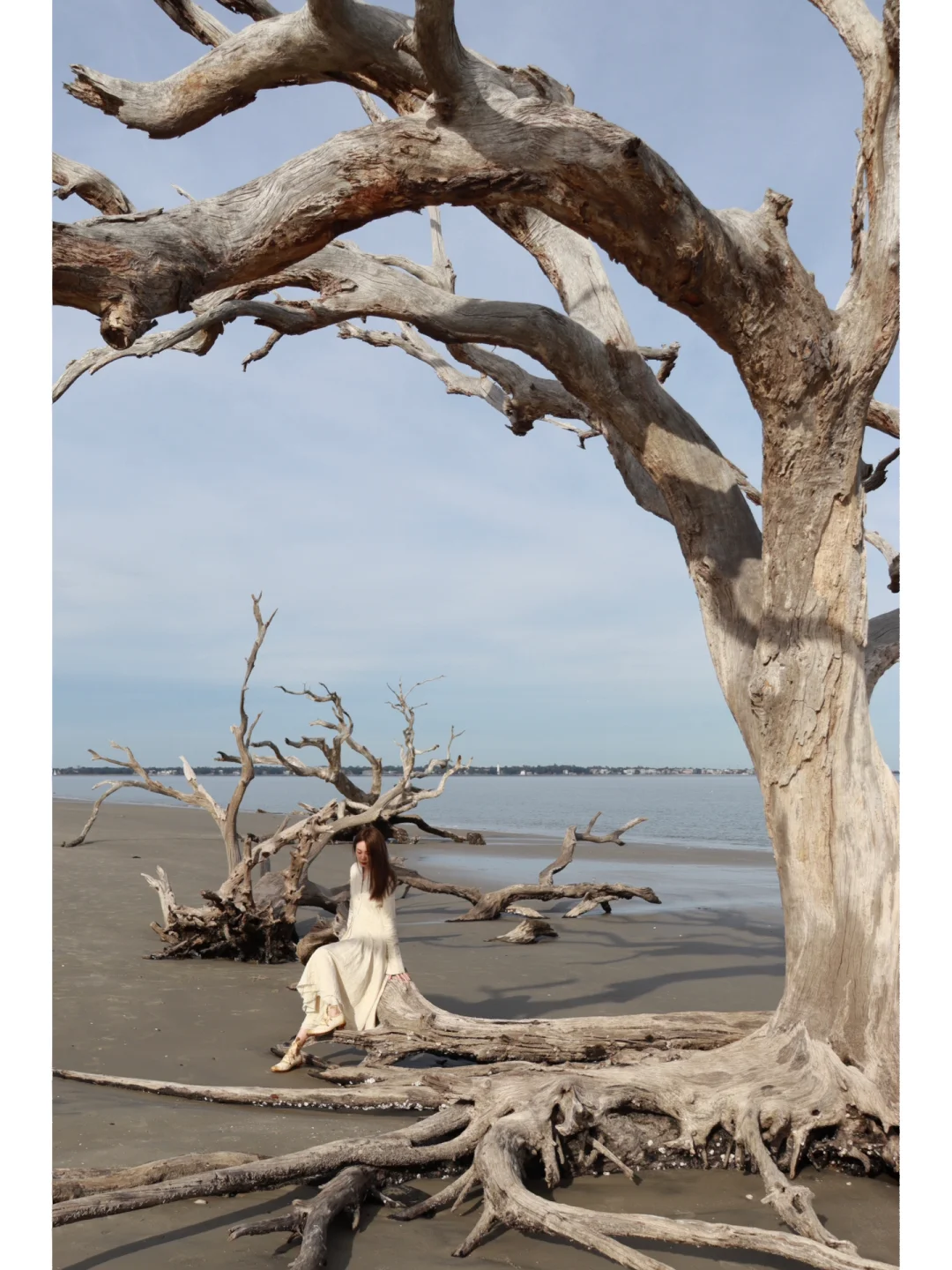 Around Savannah | Driftwood Beach: A Hauntingly Beautiful Escape