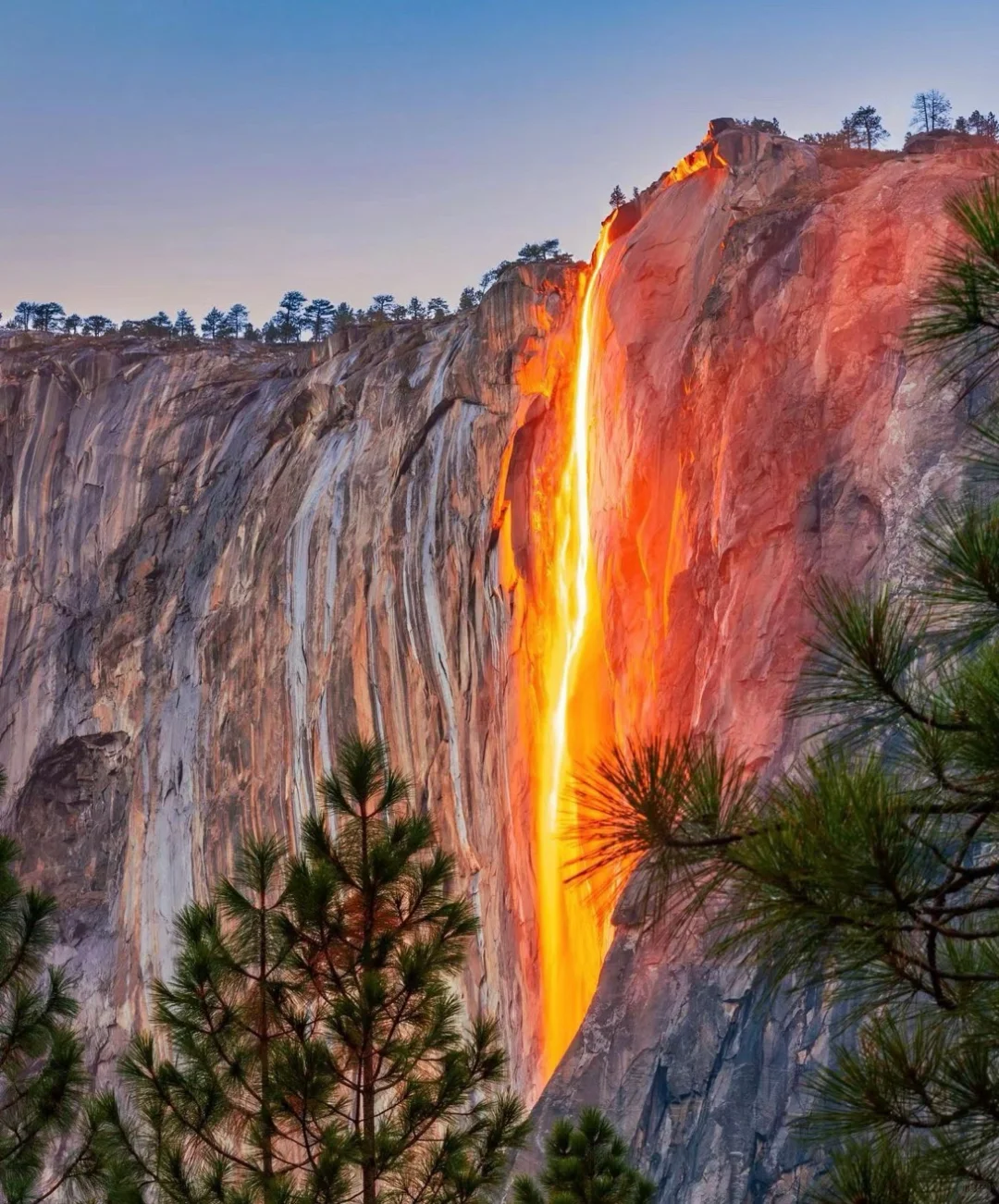 Western USA Travel: Yosemite National Park