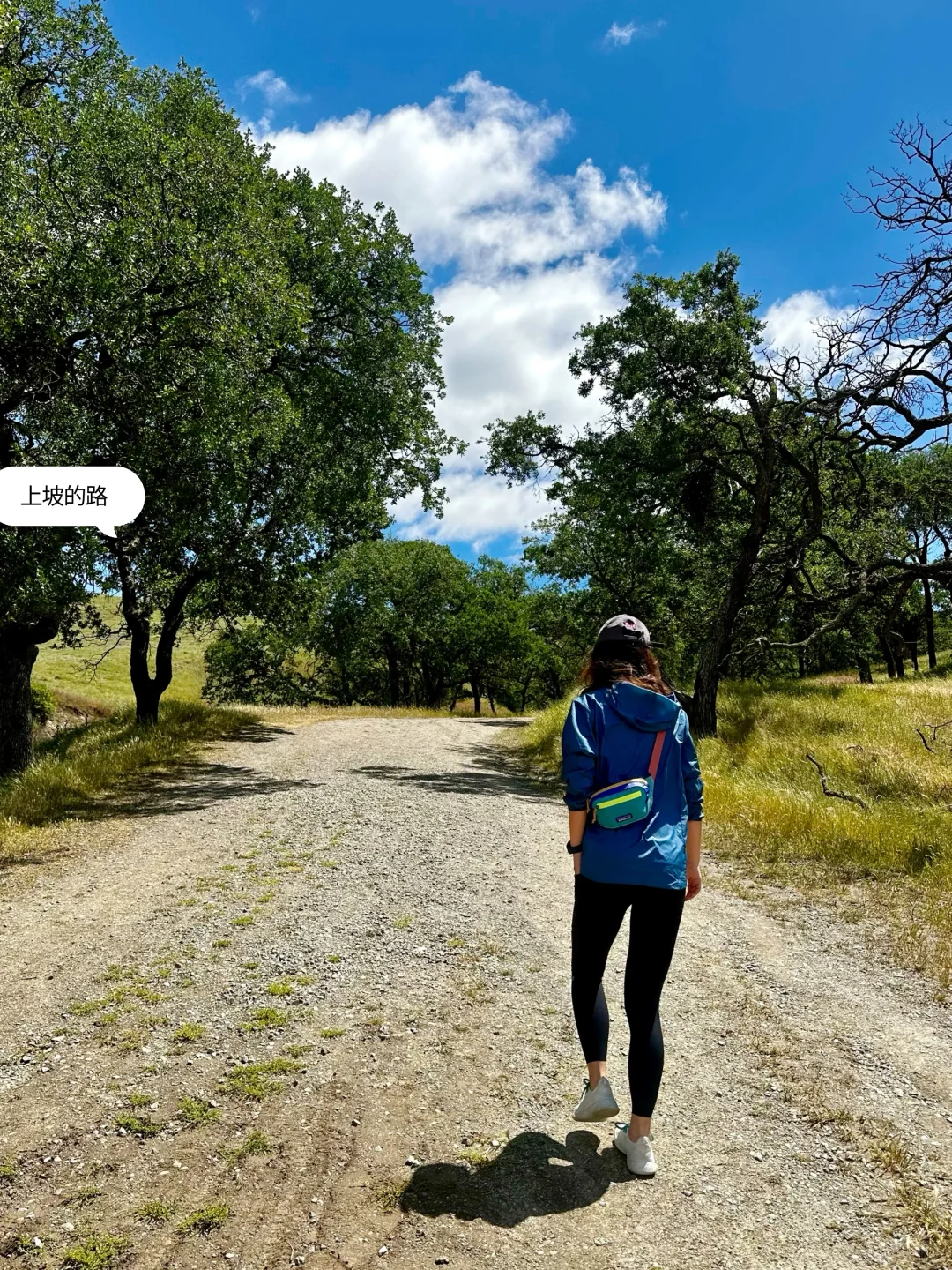 Bay Area | 2 Must-Hike Trails You Can't Miss