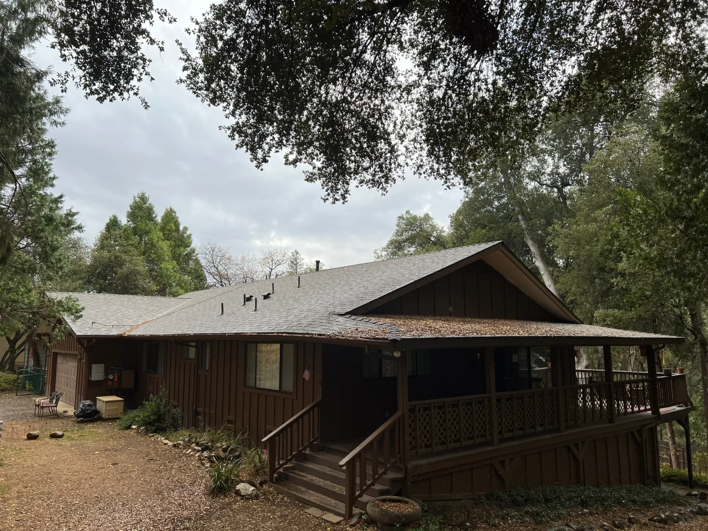 Spontaneous Adventure | 1-Day Yosemite Trip with My Dog