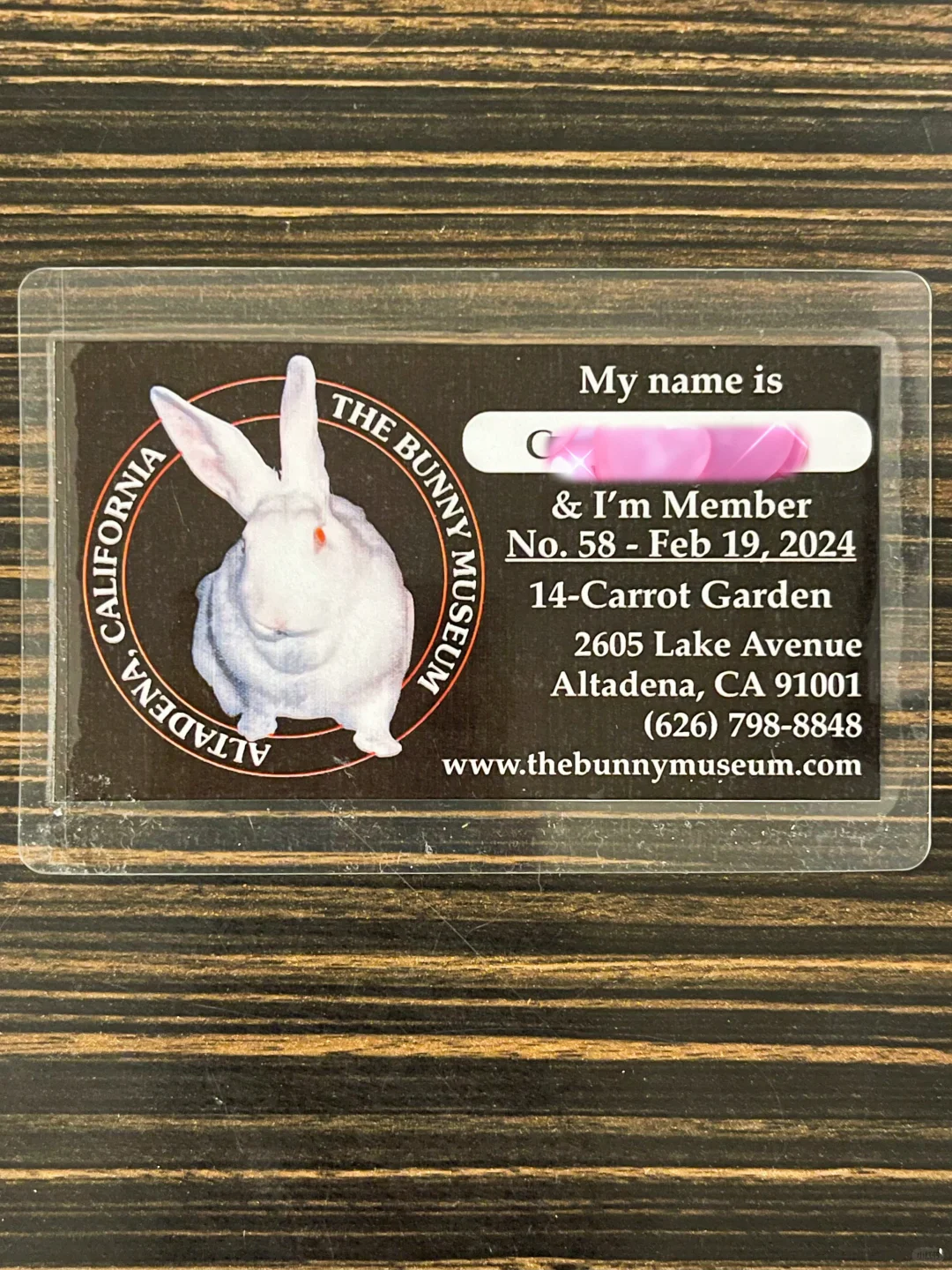 The Bunny Museum Burned Down—This Membership Card Is Useless Now