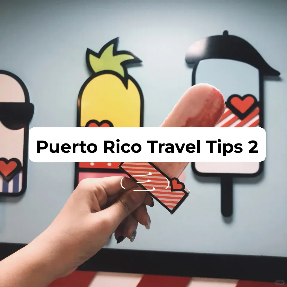 Puerto Rico Travel Guide (Part 3): Main Island Chinese Cuisine & Desserts + Vieques Island Food Scene