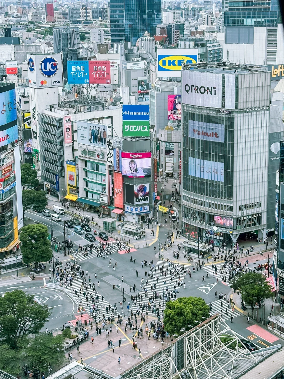 Free Spot at Tokyo's Shibuya Crossing! Step-by-Step Guide!
