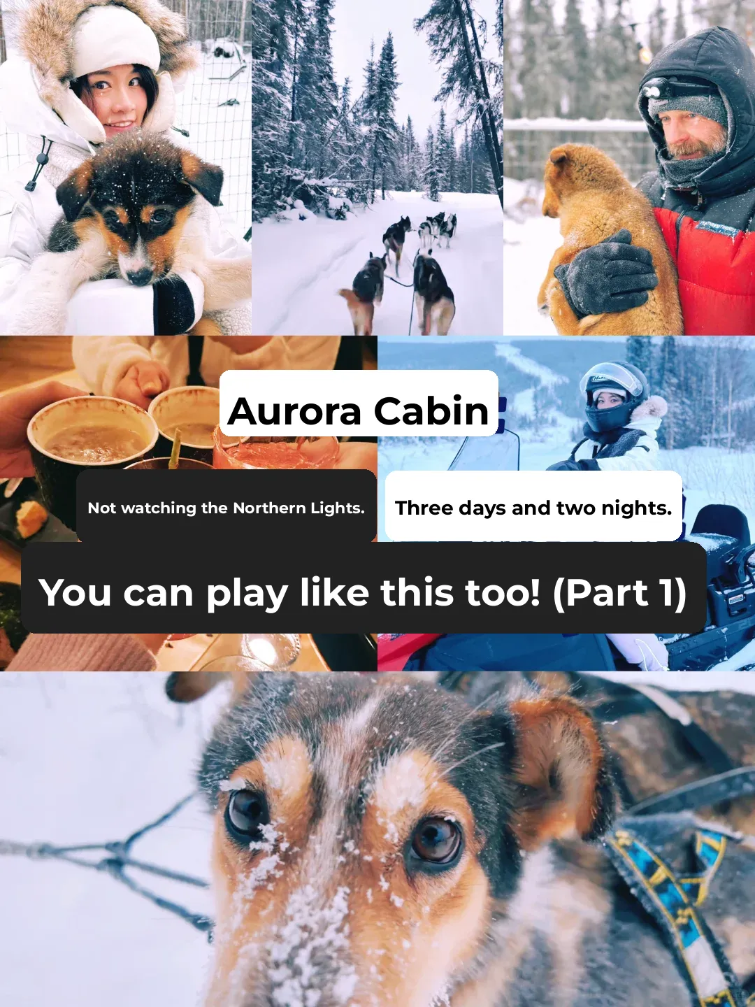 Aurora Cabin: 3 Days, 2 Nights Without the Aurora? Here's How to Make the Most of It!