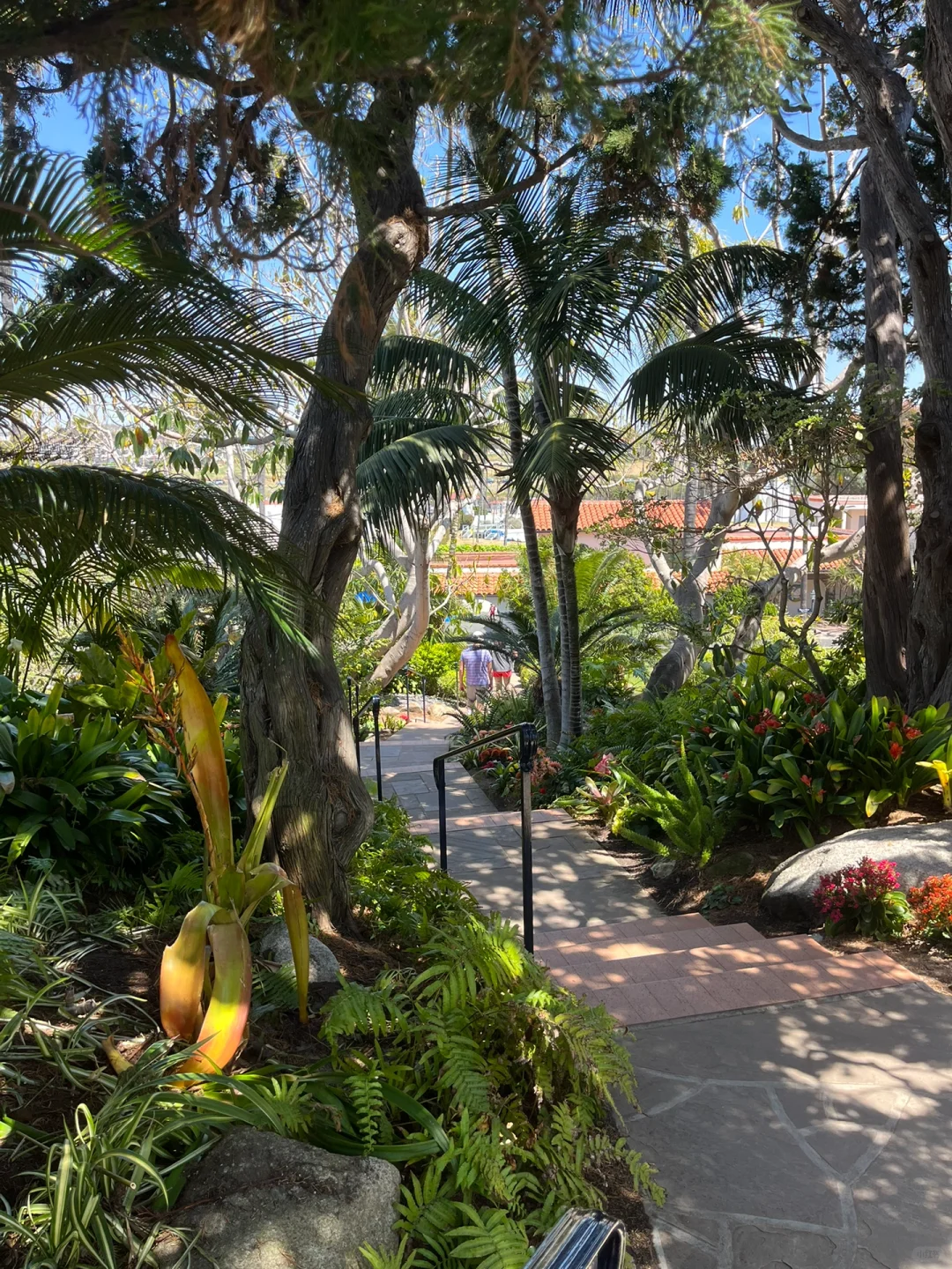 Where to Go in San Diego This Weekend