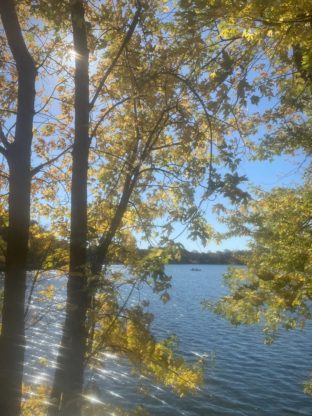 photo-3