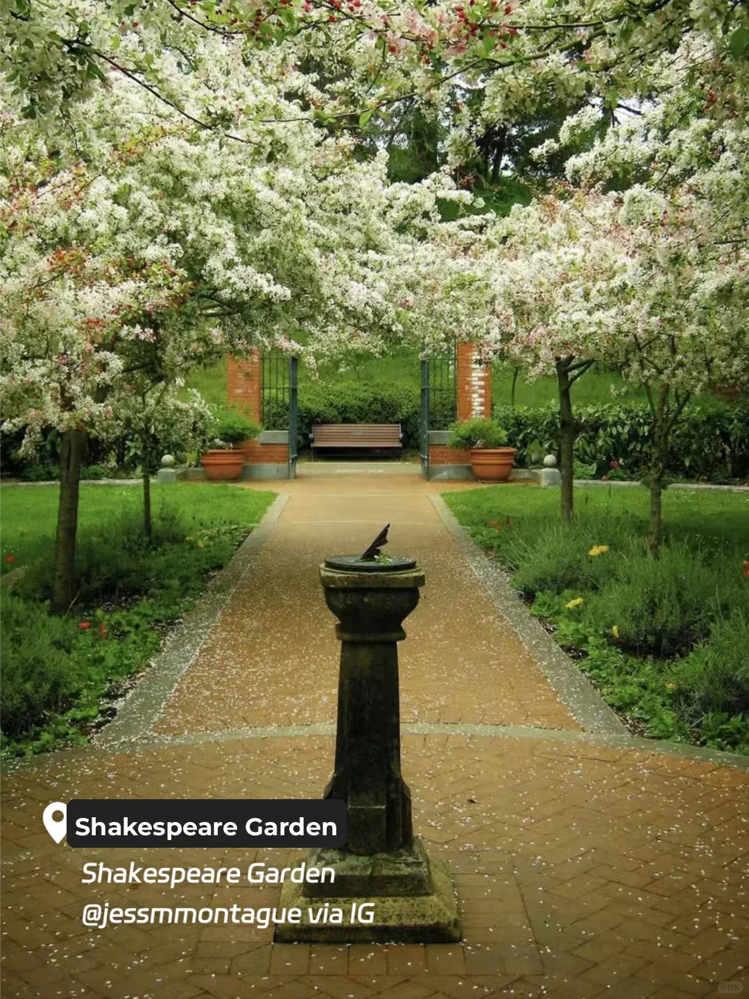 Literary Stroll in San Francisco 🚶‍