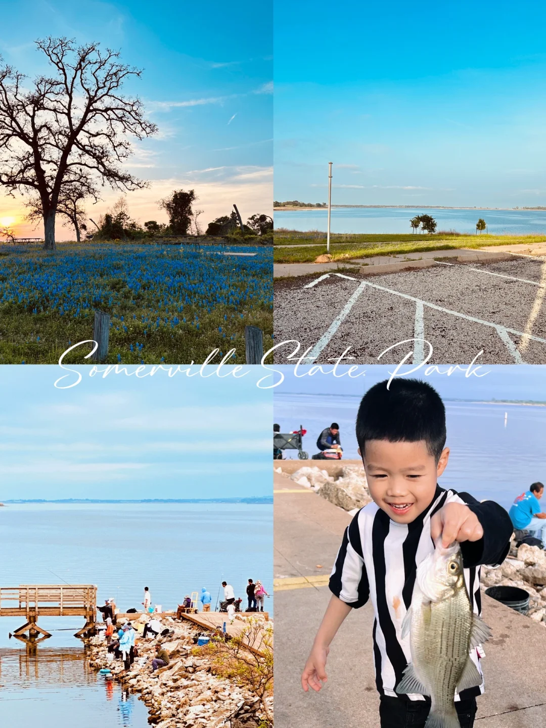 Around Texas | Come Visit! Bluebonnets Are Stunning 🐟 Fish Is Fresh