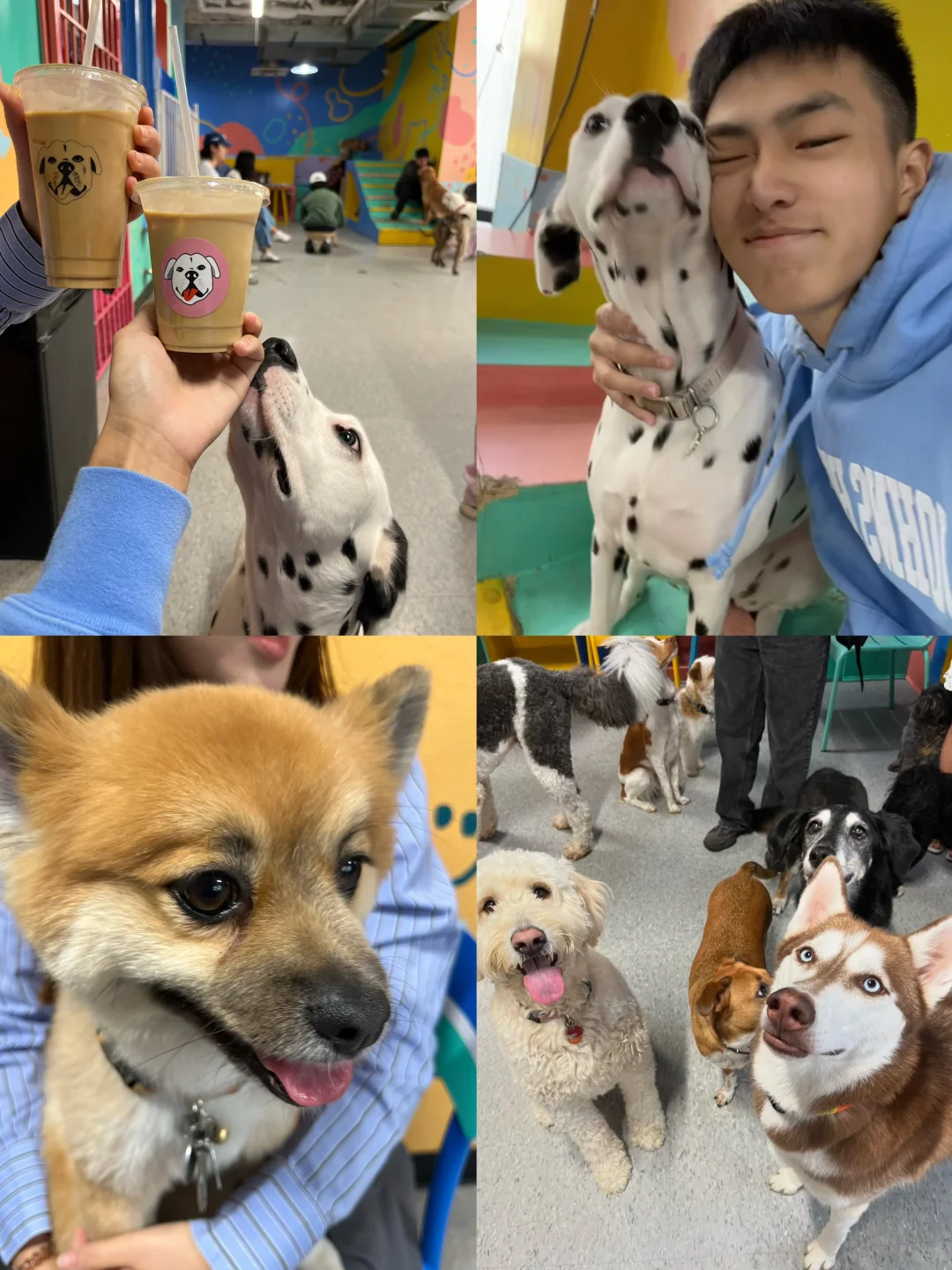 Where to Go in NYC This Weekend | Come to Brooklyn for Some Puppy Cuddles 😆