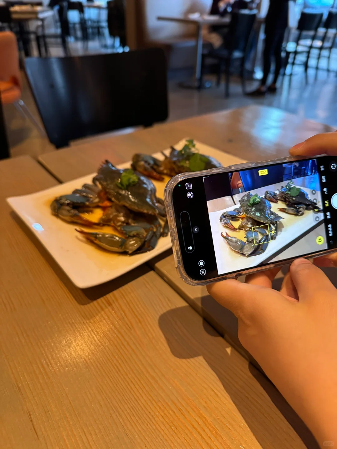 🇺🇸Chicago/ Dining with My Wife Every Day 🍽️