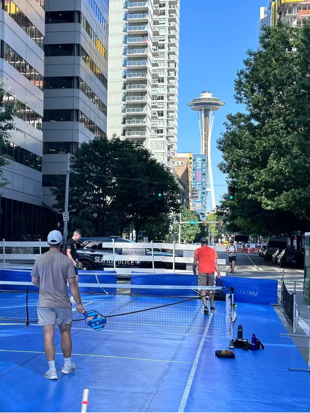 Seattle Winter Sports | Free Pickleball Courts 🏏