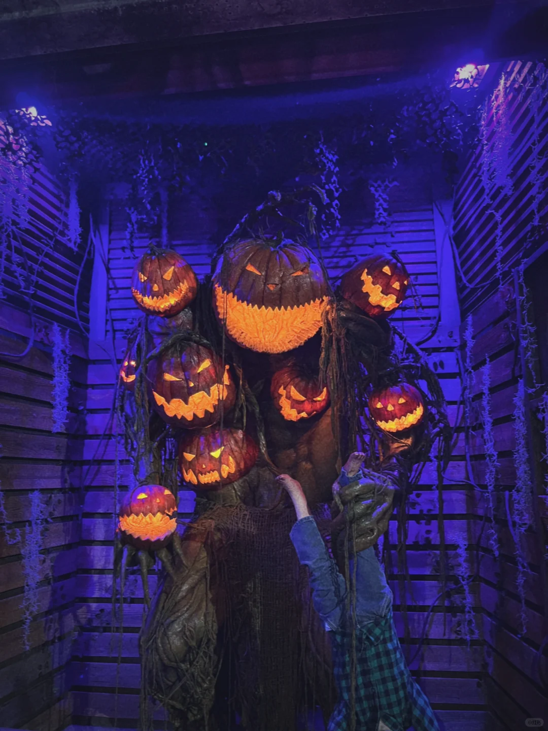 Houston Halloween: Best Haunted House Spots!
