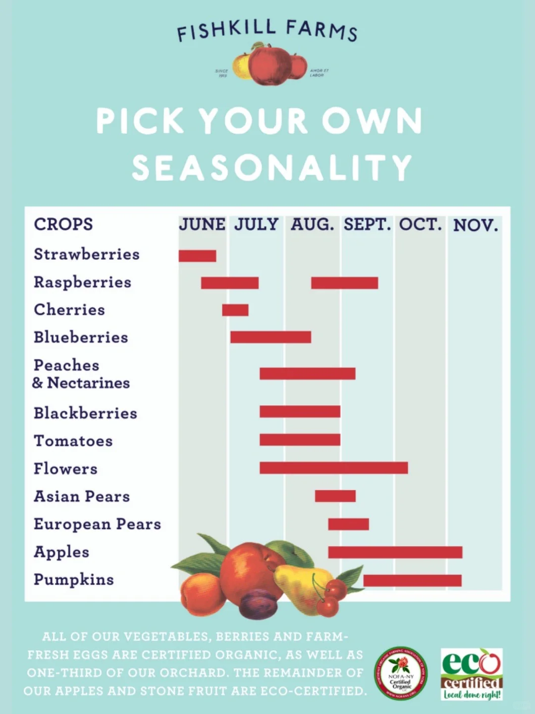 2024 NYC Cherry Picking Season 🍒 Top-Rated Farms Roundup (Part 2)