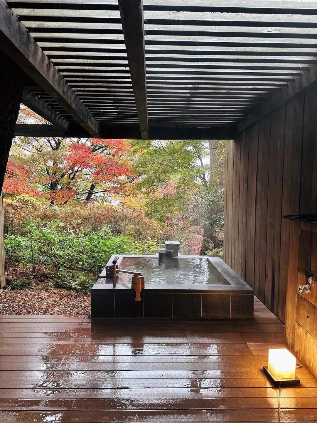 My Ultimate Hotel in Hakone: An Unforgettable Experience, I Don't Want to Check Out!