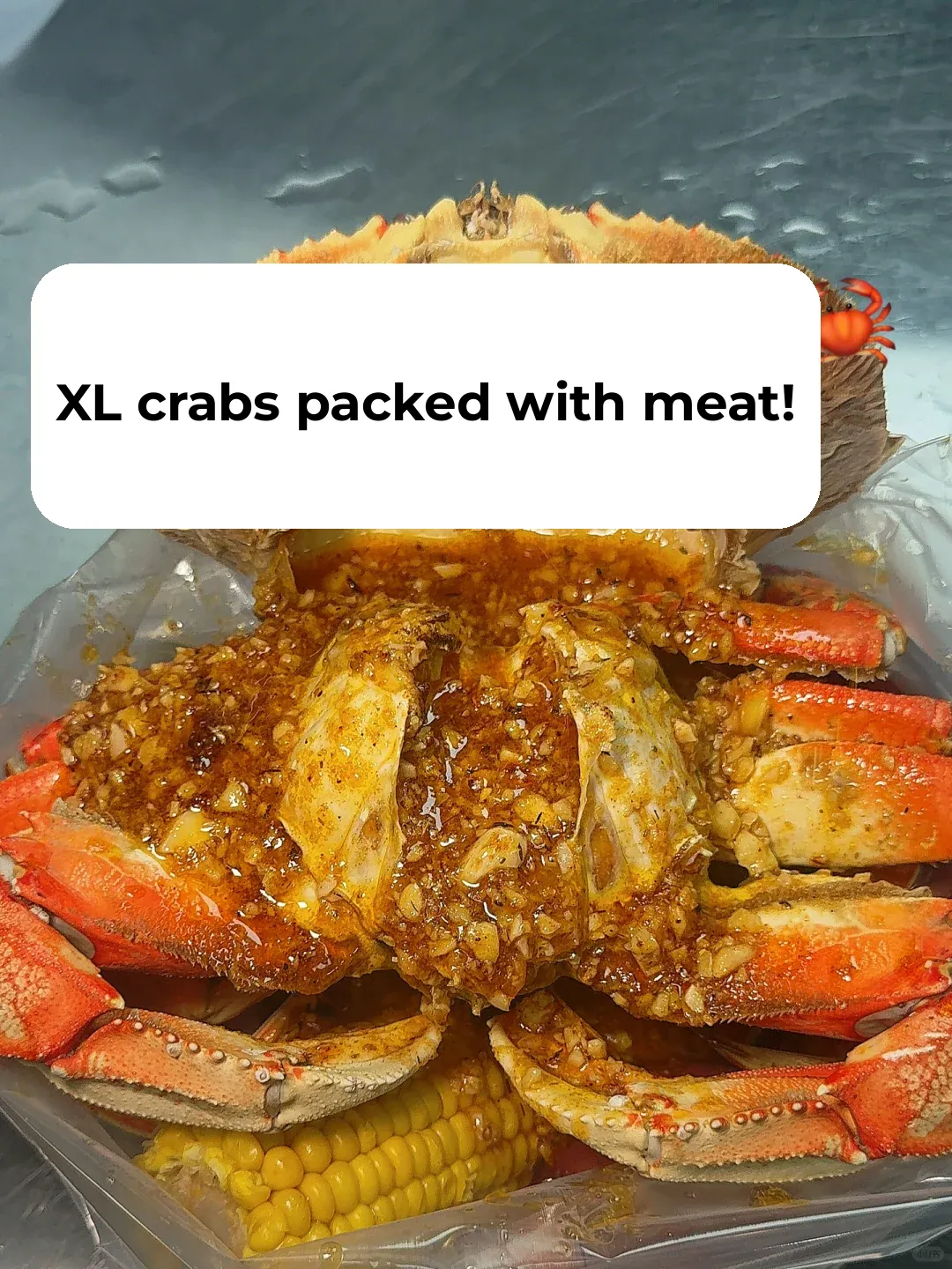 Must-Try Handheld Seafood Feast in Los Angeles