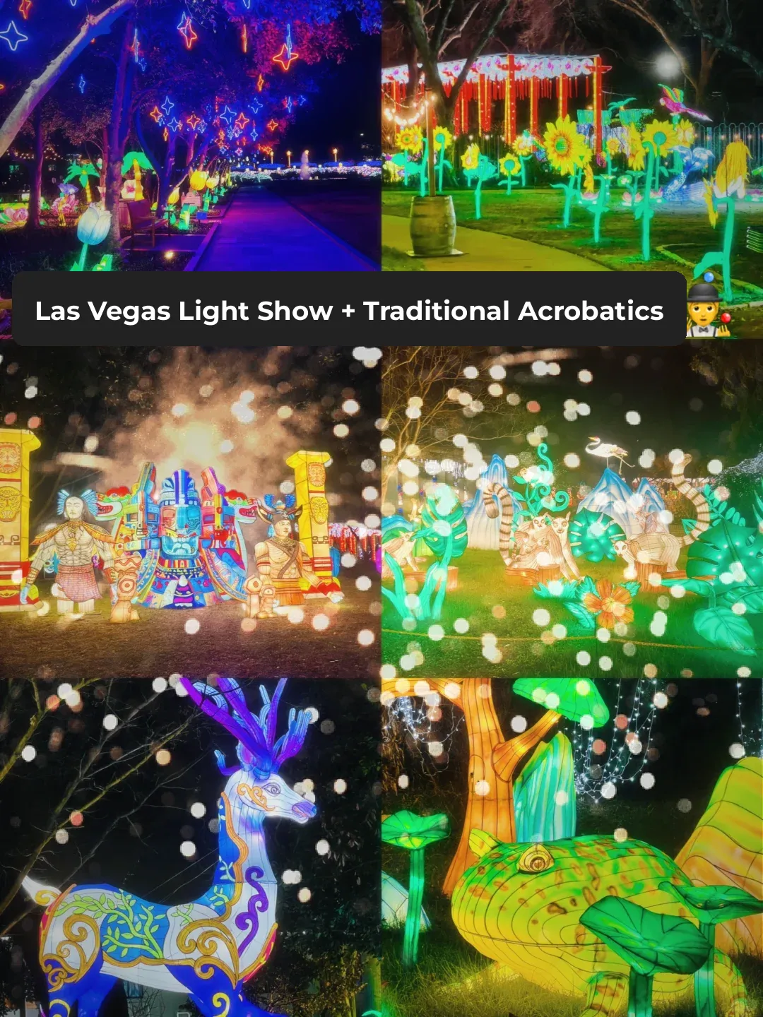 "The Closest I’ve Been to Returning Home Was at the Dallas Light Show 🥺"