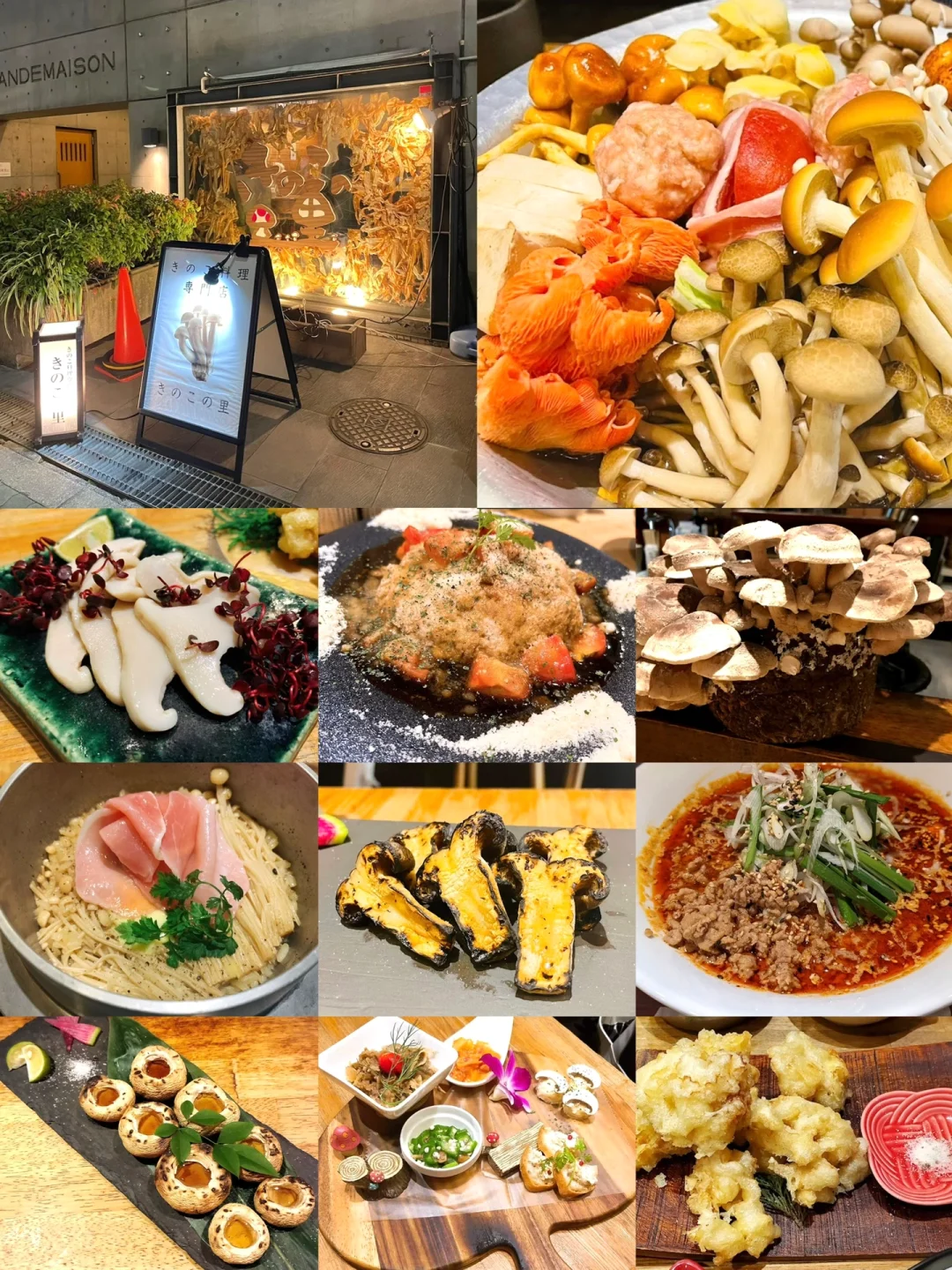 🇯🇵 Yunnan folks took me to eat mushrooms! This place in Osaka is seriously delicious!