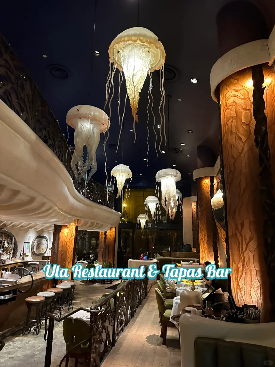 San Francisco's Jellyfish Restaurant