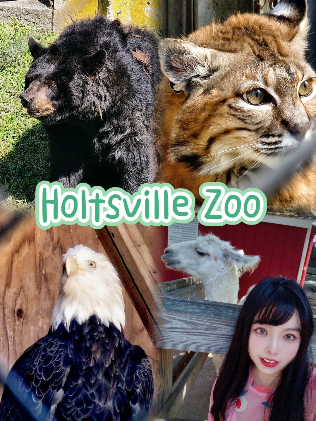 Free Zoo in NYC 🐻