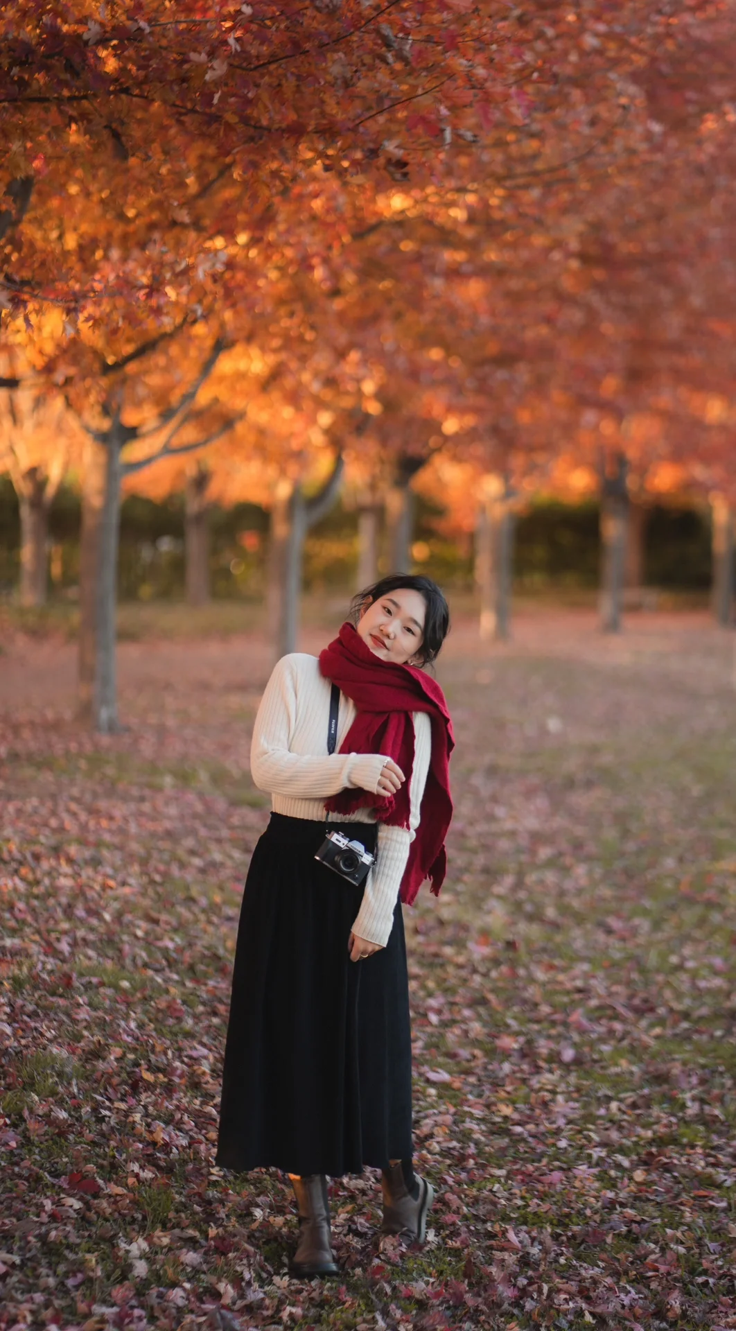 Autumn in St. Louis｜If You Like It, Chase It Boldly