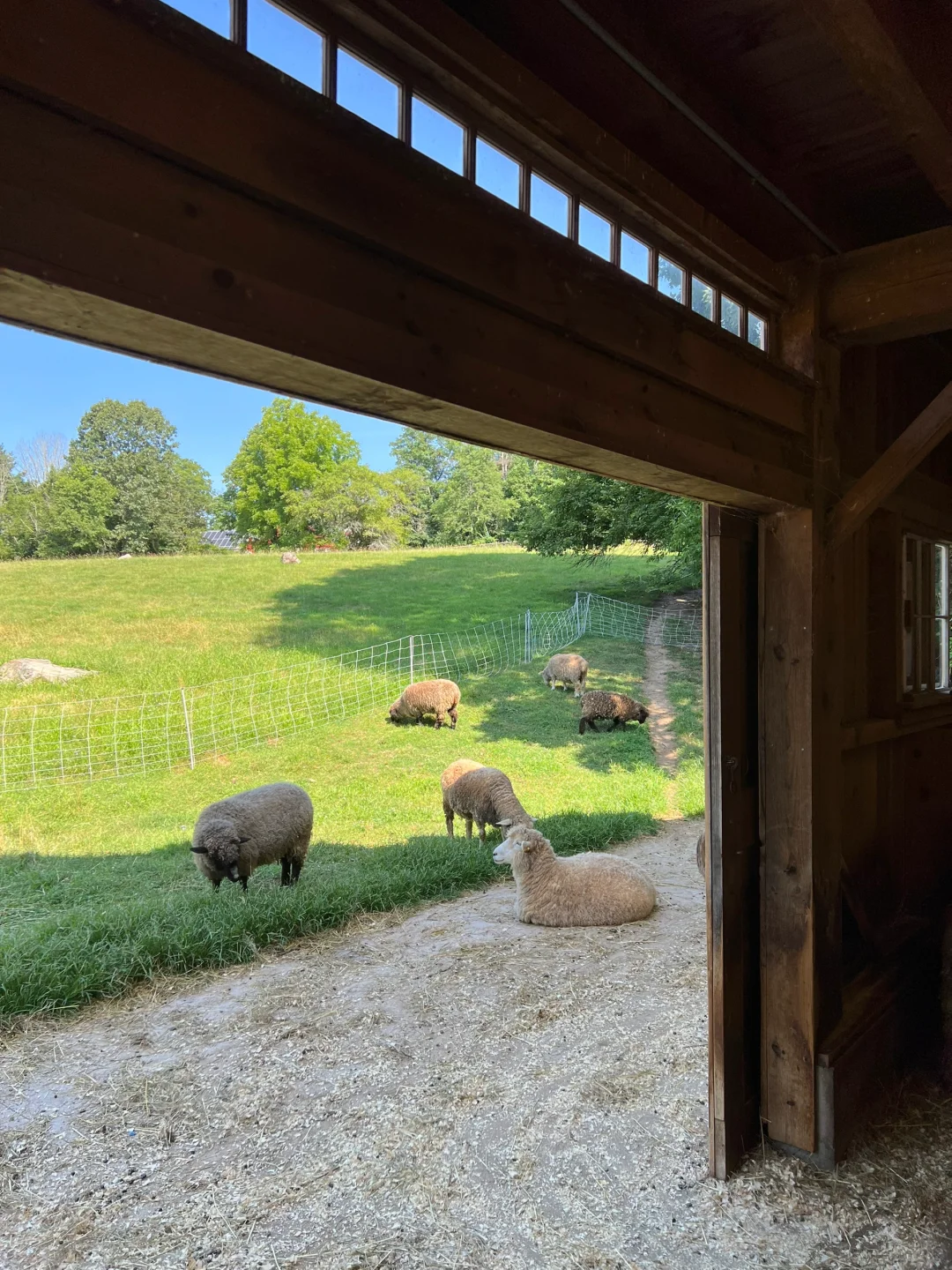 Weekend Getaway to the Farm