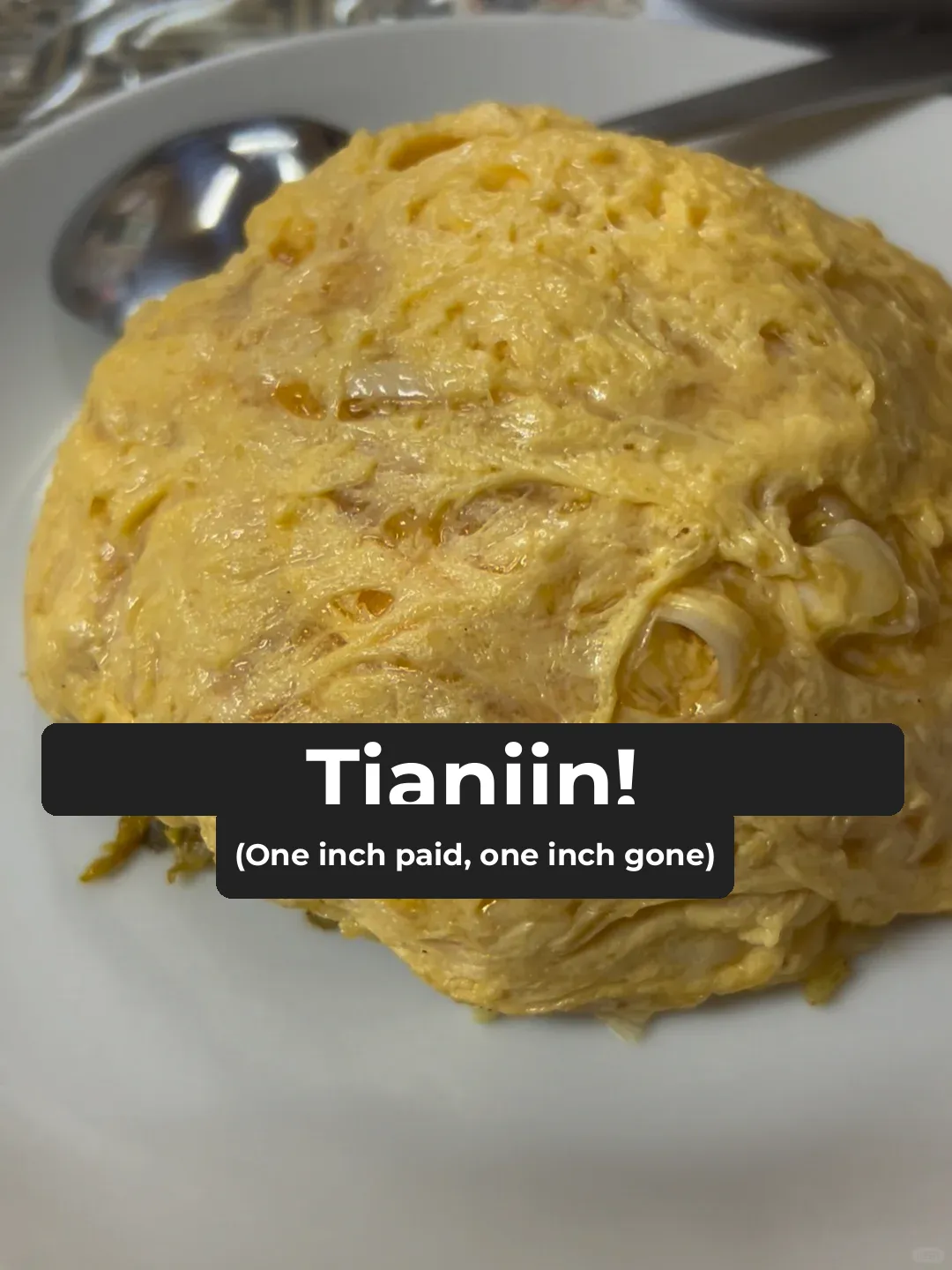 Osaka's Famous Fried Rice