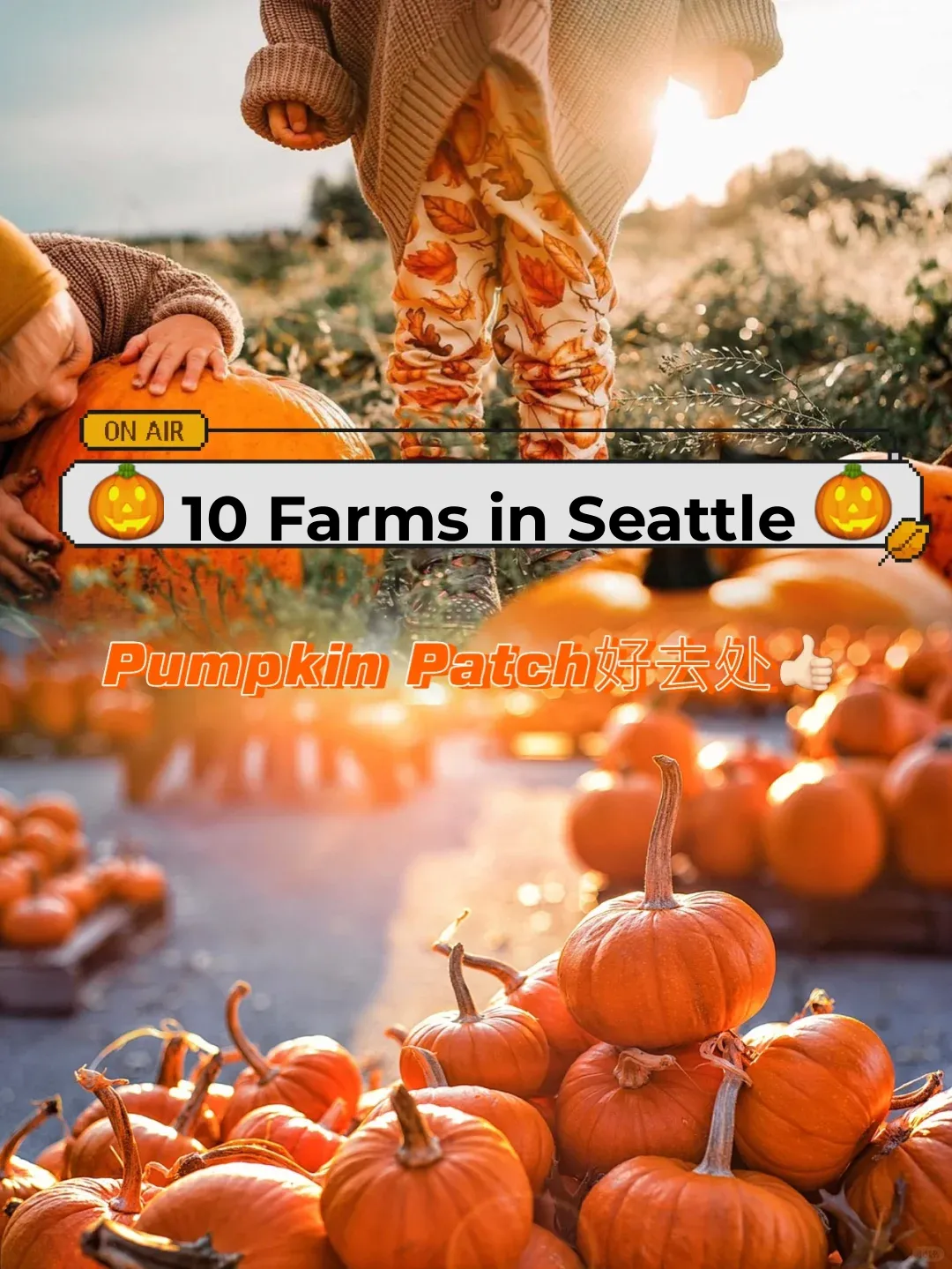 🎃 Fall in Seattle: The Ultimate Pumpkin Patch Guide!