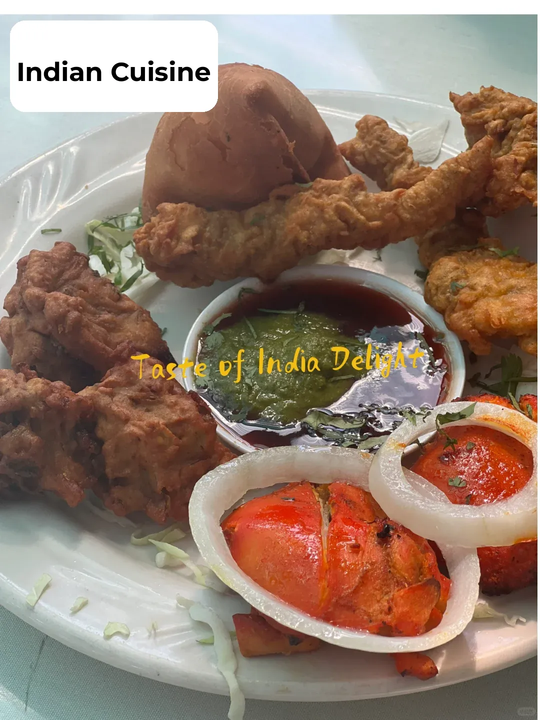 Seattle | Delicious and Affordable Indian Cuisine 😁