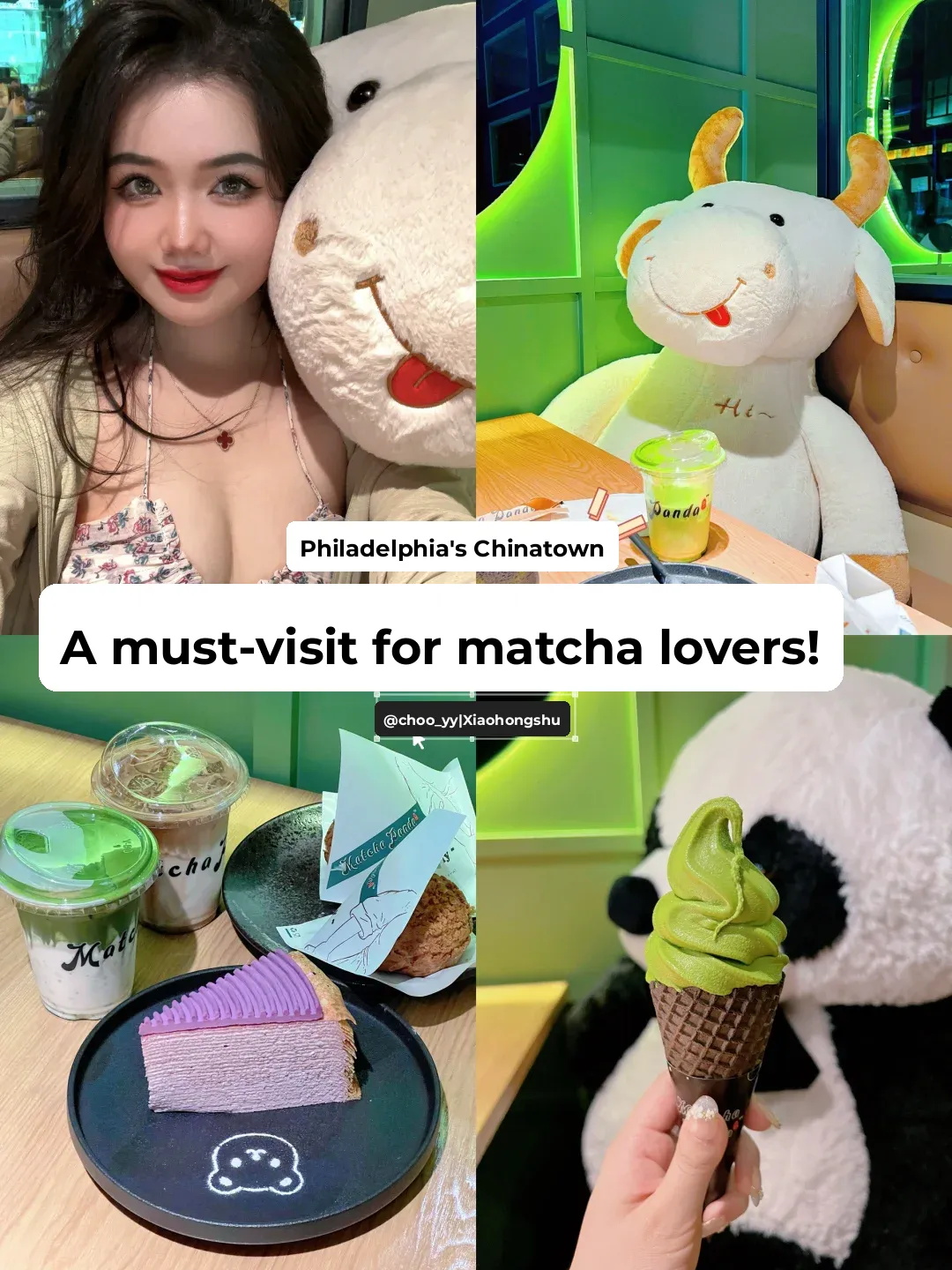 🍧 Philadelphia Food Guide | Big Data, Please Recommend This to All Matcha Lovers 😍