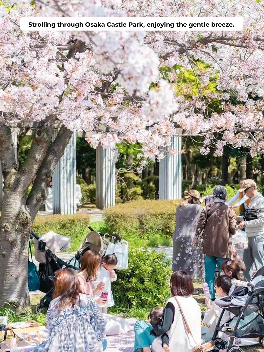 Locals' Picks! Osaka Must-Do Itinerary (incl. Hotels)