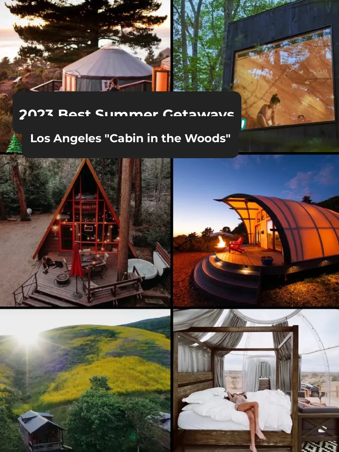 Los Angeles 2023 Summer Getaway! Check Out the Stunning "Cabin in the Woods"