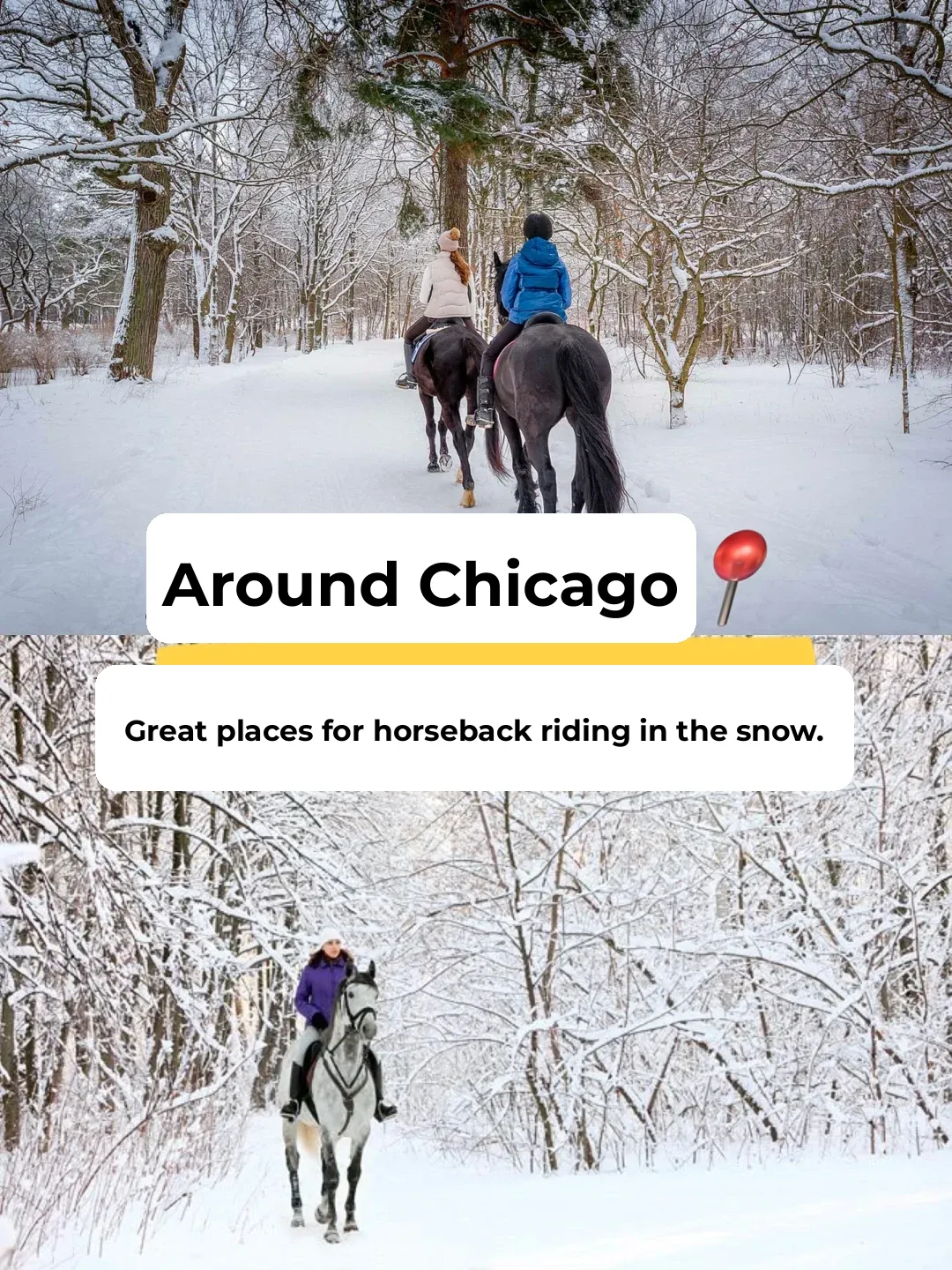 "Where to Go for the Holidays? A New Experience: Snowy Horseback Riding Near Chicago 🐎"