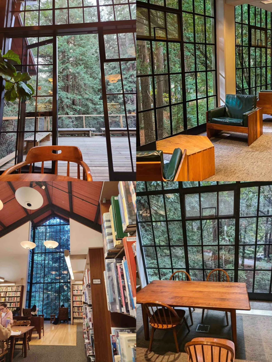 Top 6 Hidden Gem Libraries in the Bay Area 📝 Perfect Spots for Studying and Crunching Deadlines 📚