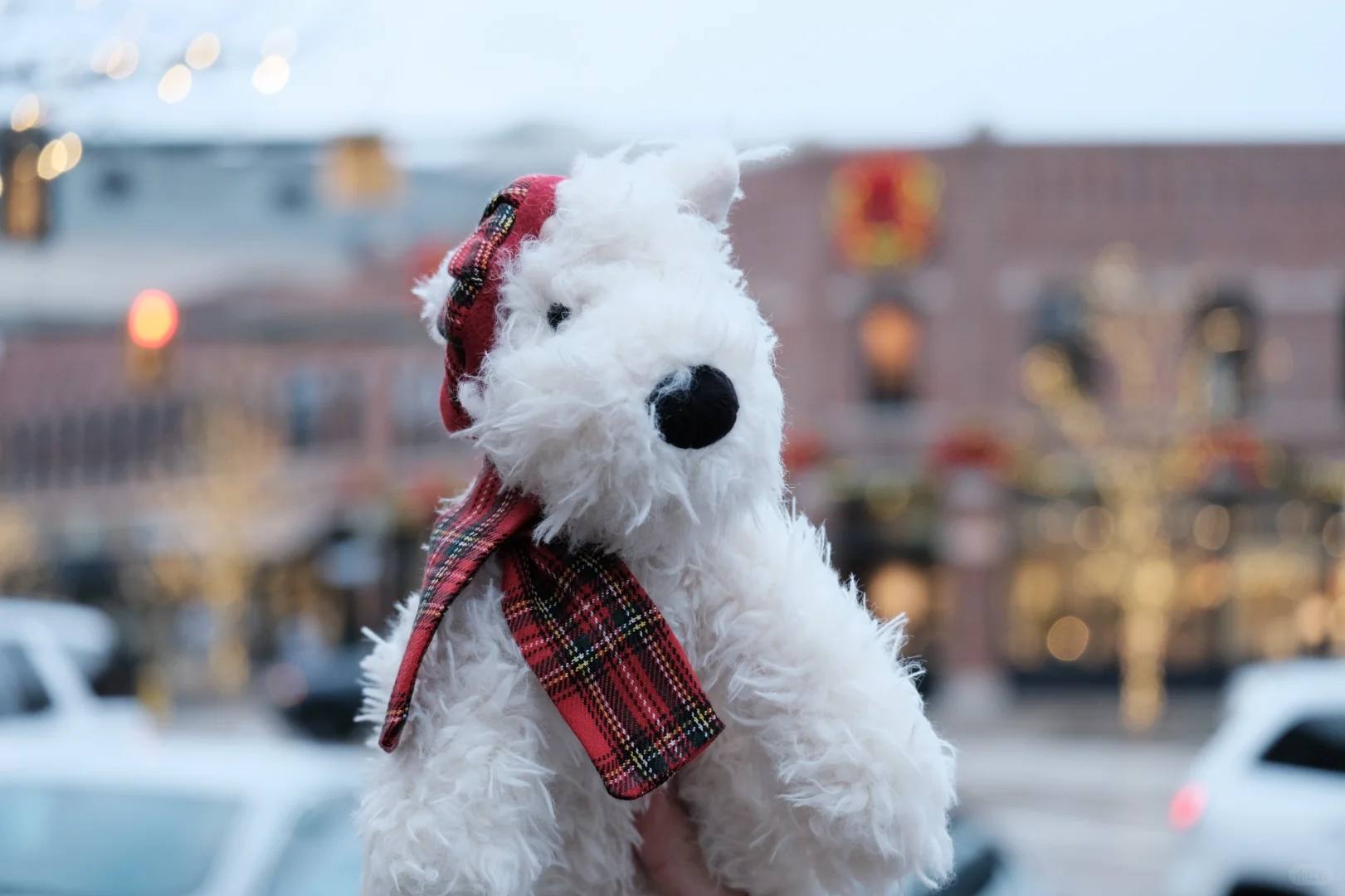 Detroit | Strolling Through Birmingham City🚶