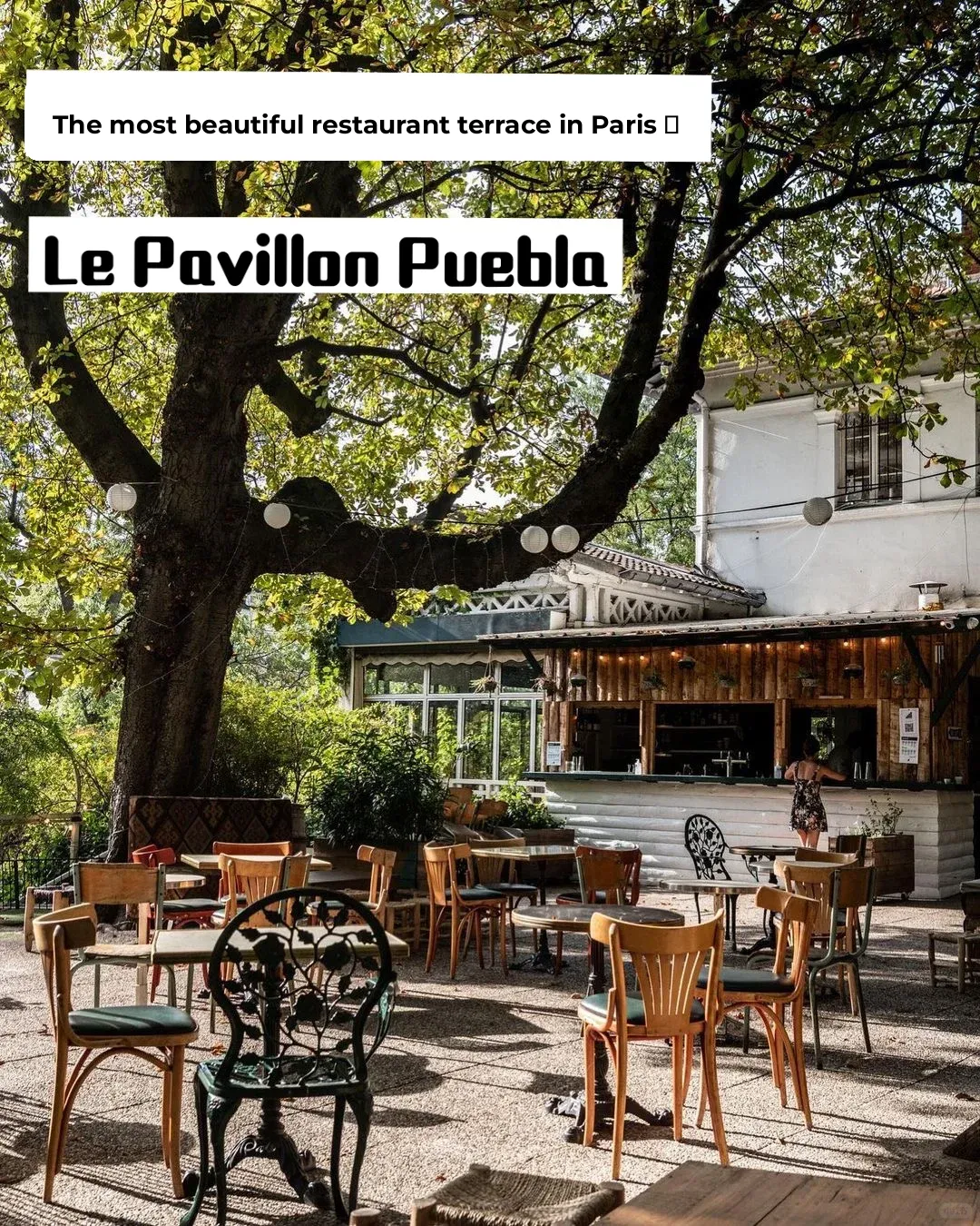Top 3 Rooftop Terraces in Paris ☀️🍹 Le Pavillon Puebla