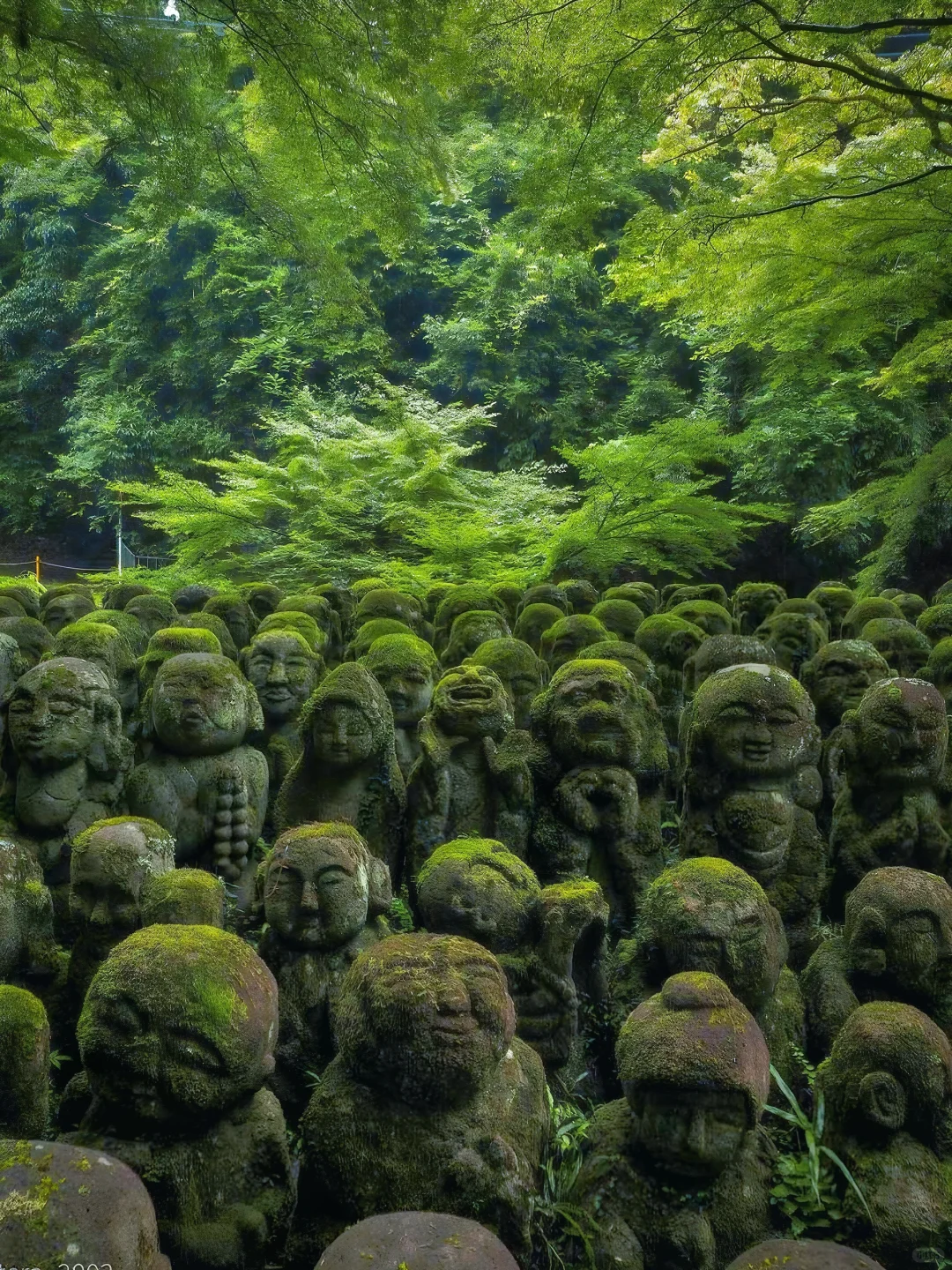 Japan | Third Time in Kyoto | My 7️⃣ Off-the-Beaten-Path Spots